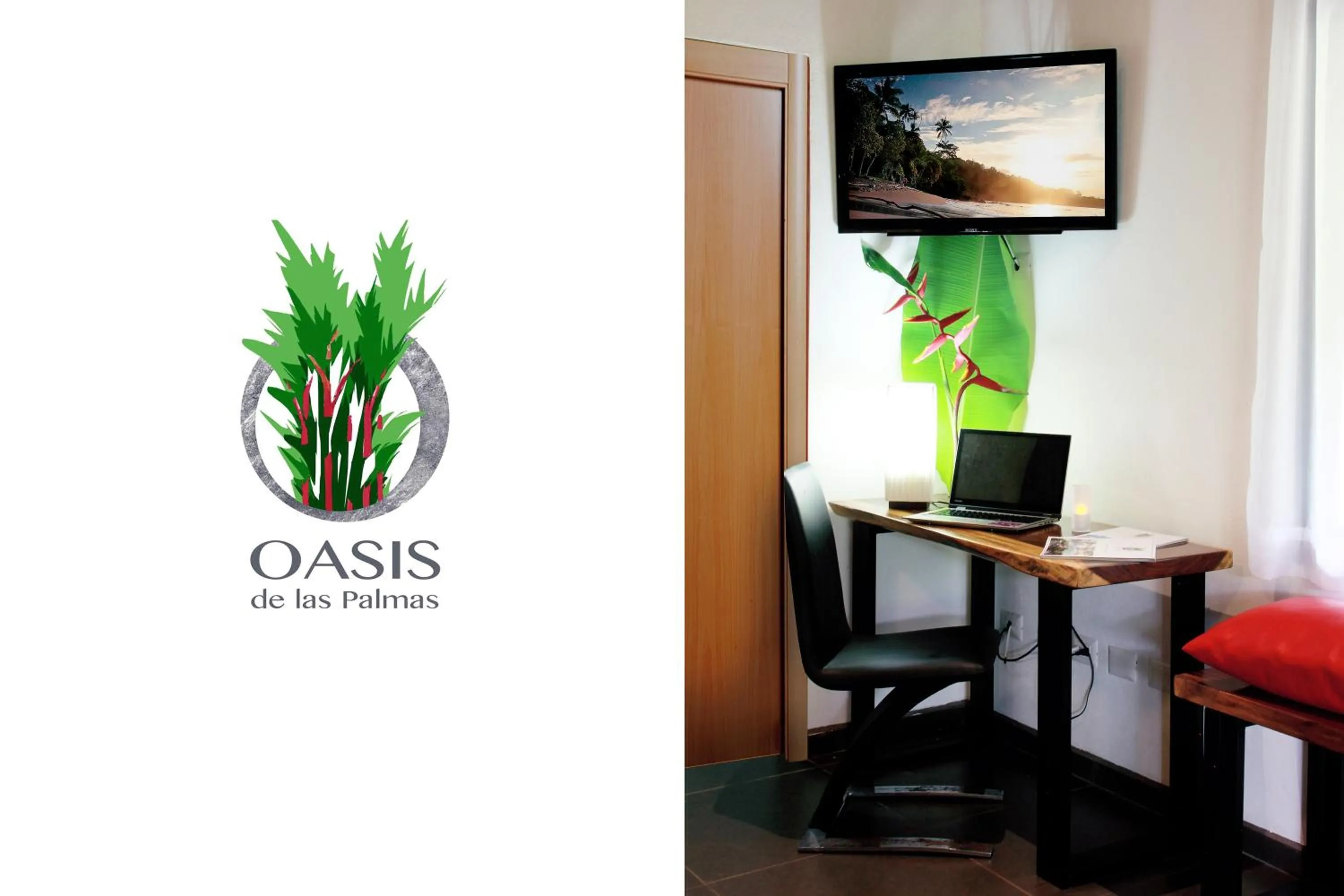 TV and multimedia in Oasis de las Palmas