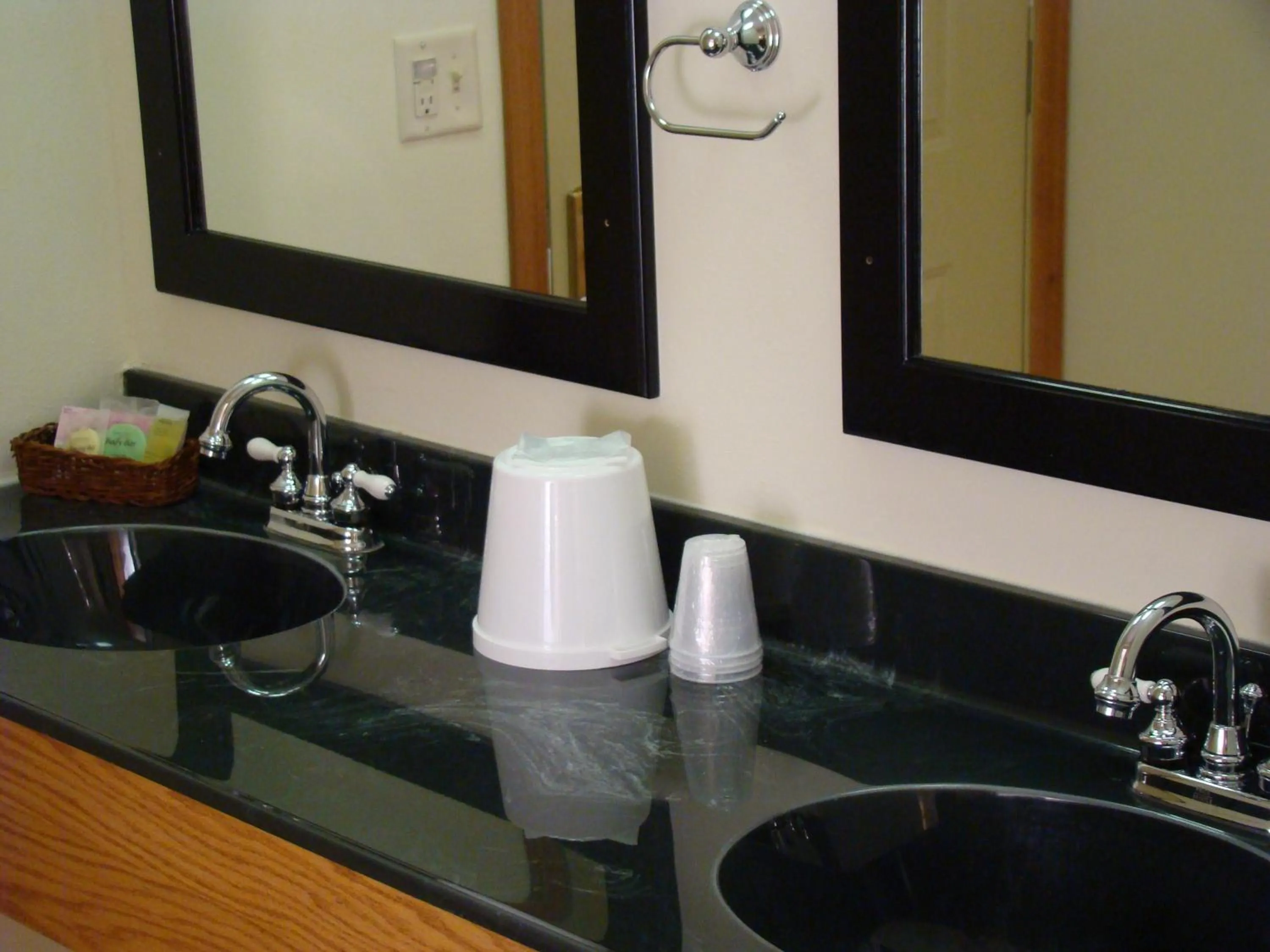 Bathroom in Roosevelt Inn Mount Rushmore