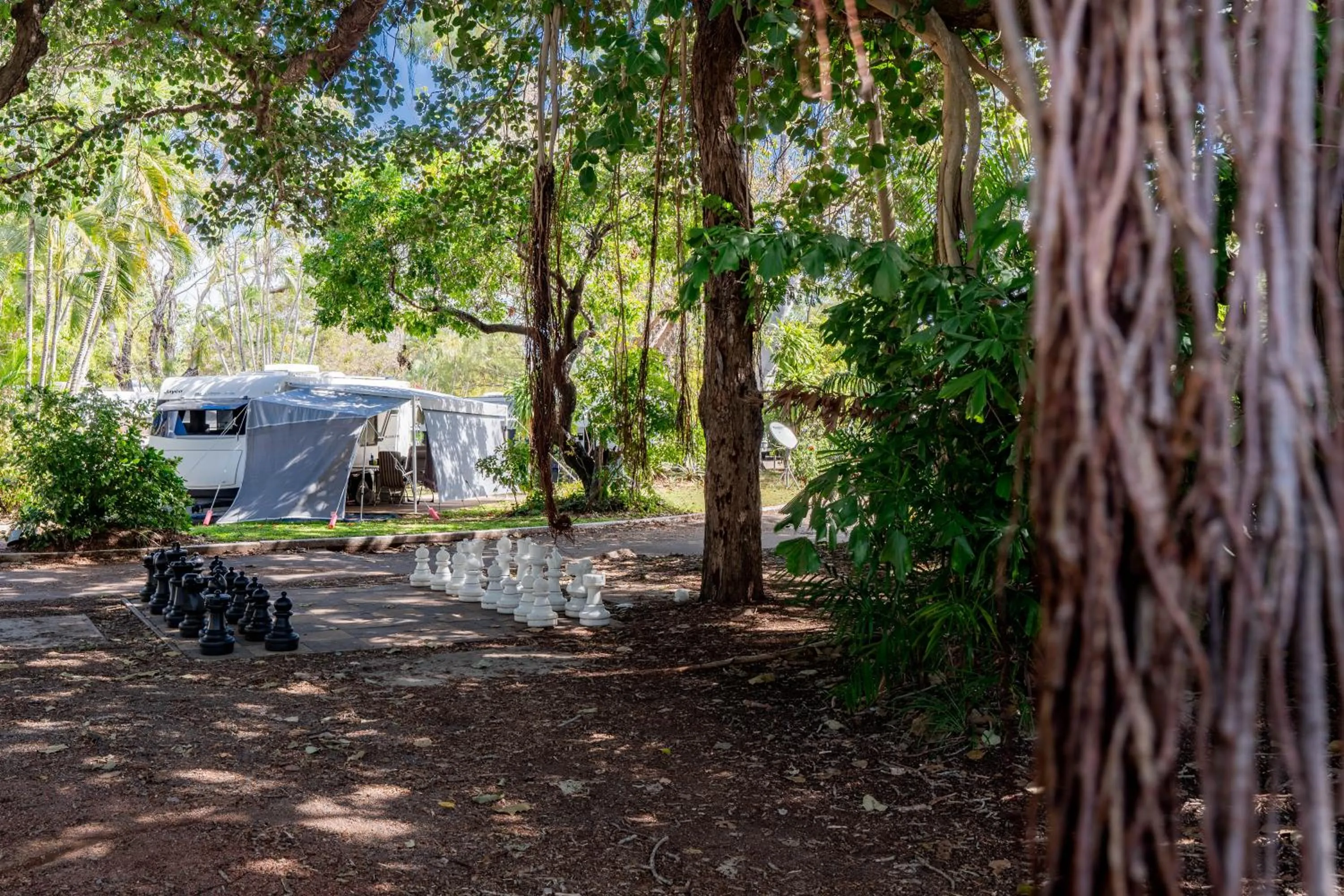 Day in BIG4 Tasman Holiday Parks - Rowes Bay