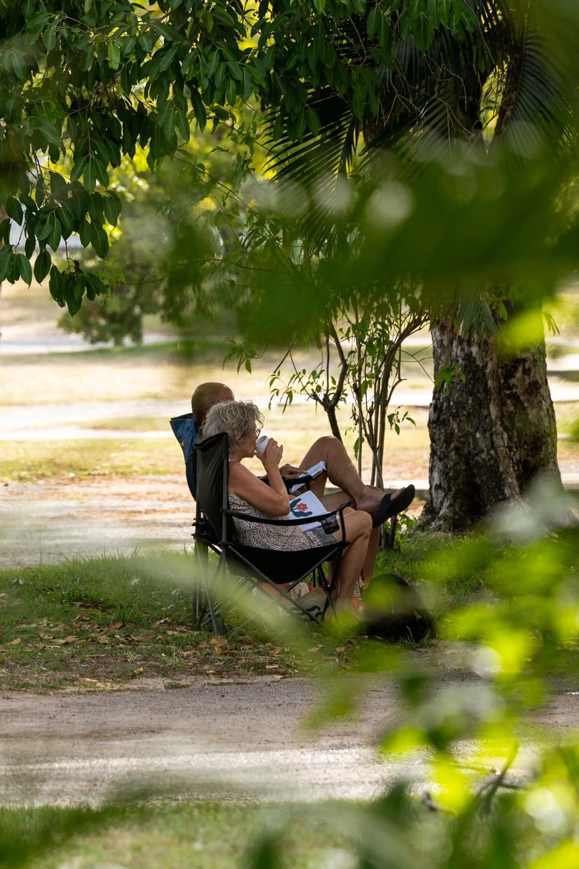 Natural landscape in BIG4 Tasman Holiday Parks - Rowes Bay