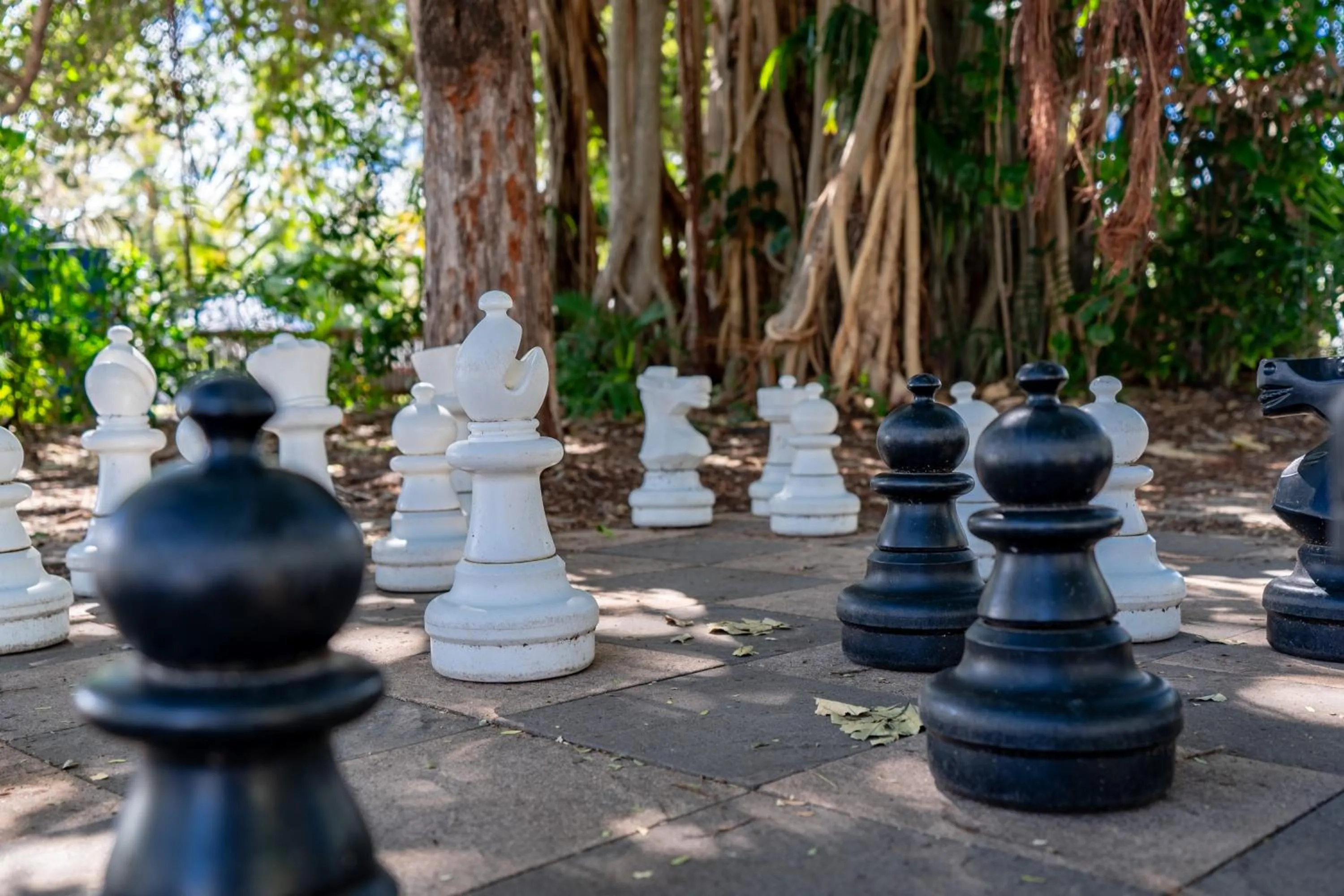 Day in BIG4 Tasman Holiday Parks - Rowes Bay