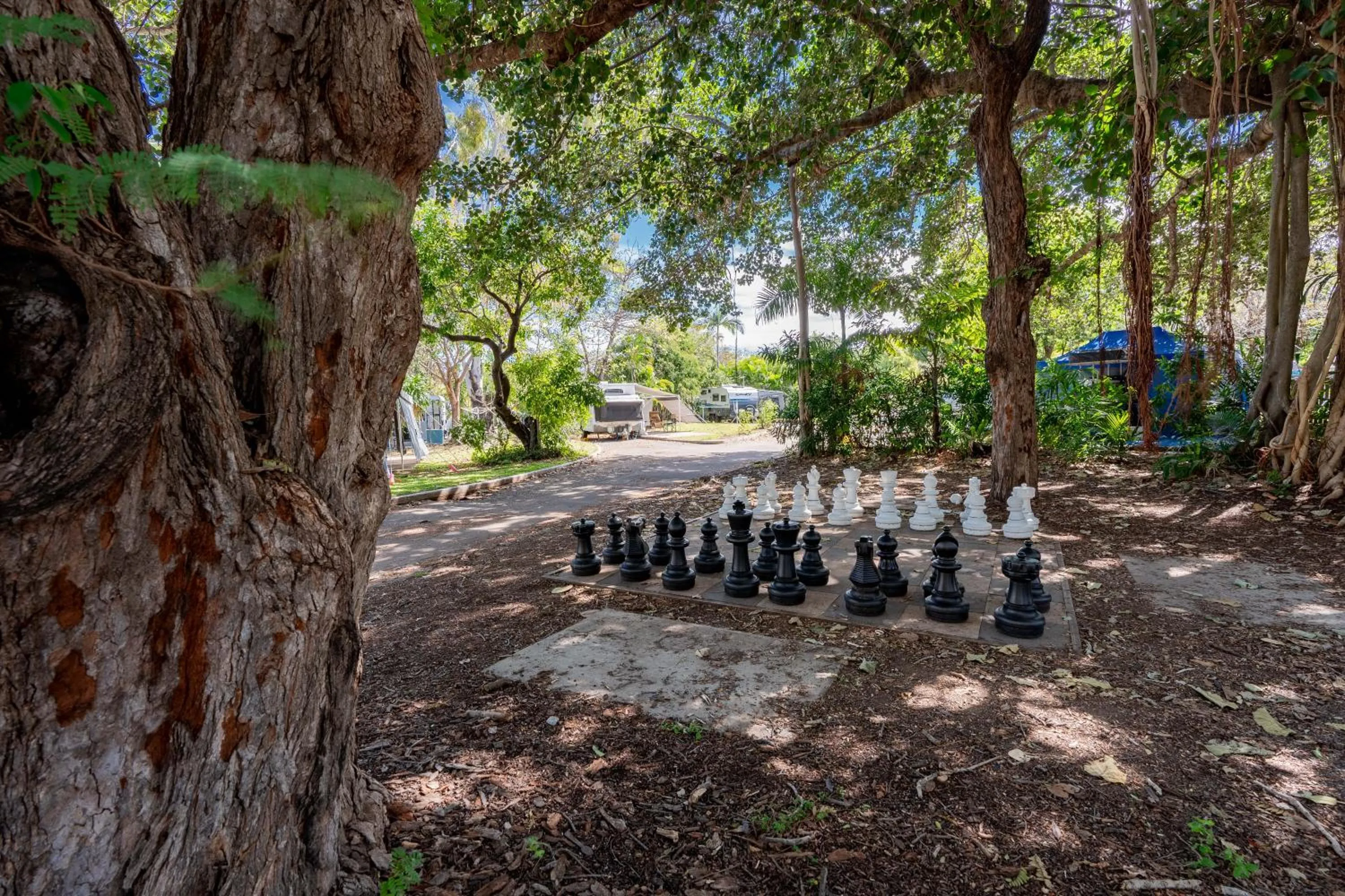 Natural landscape in BIG4 Tasman Holiday Parks - Rowes Bay