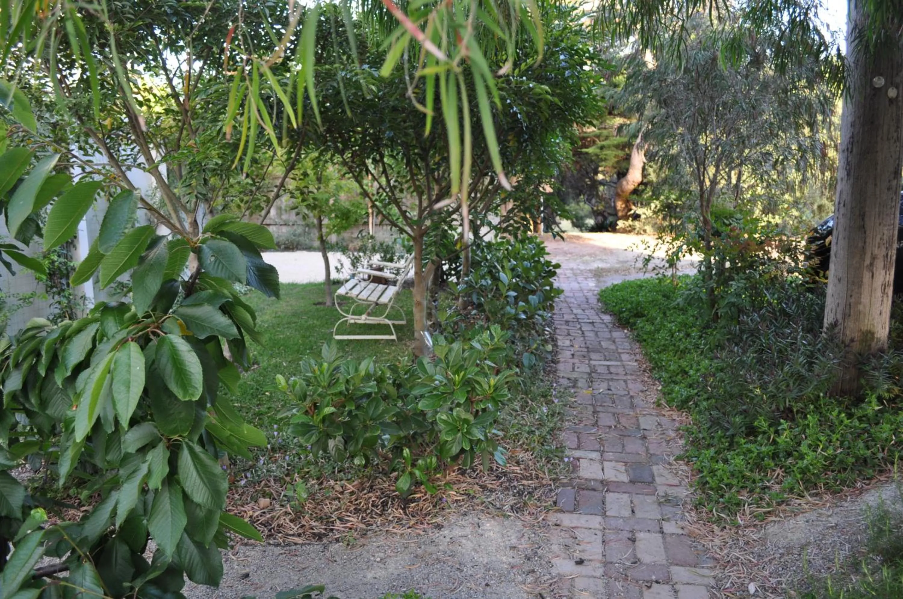 Garden in Sailaway Beach House