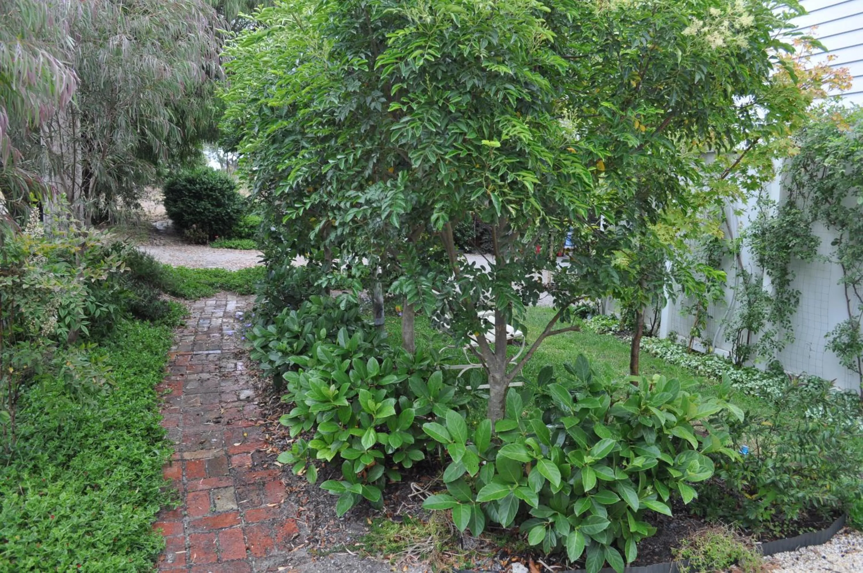 Garden in Sailaway Beach House