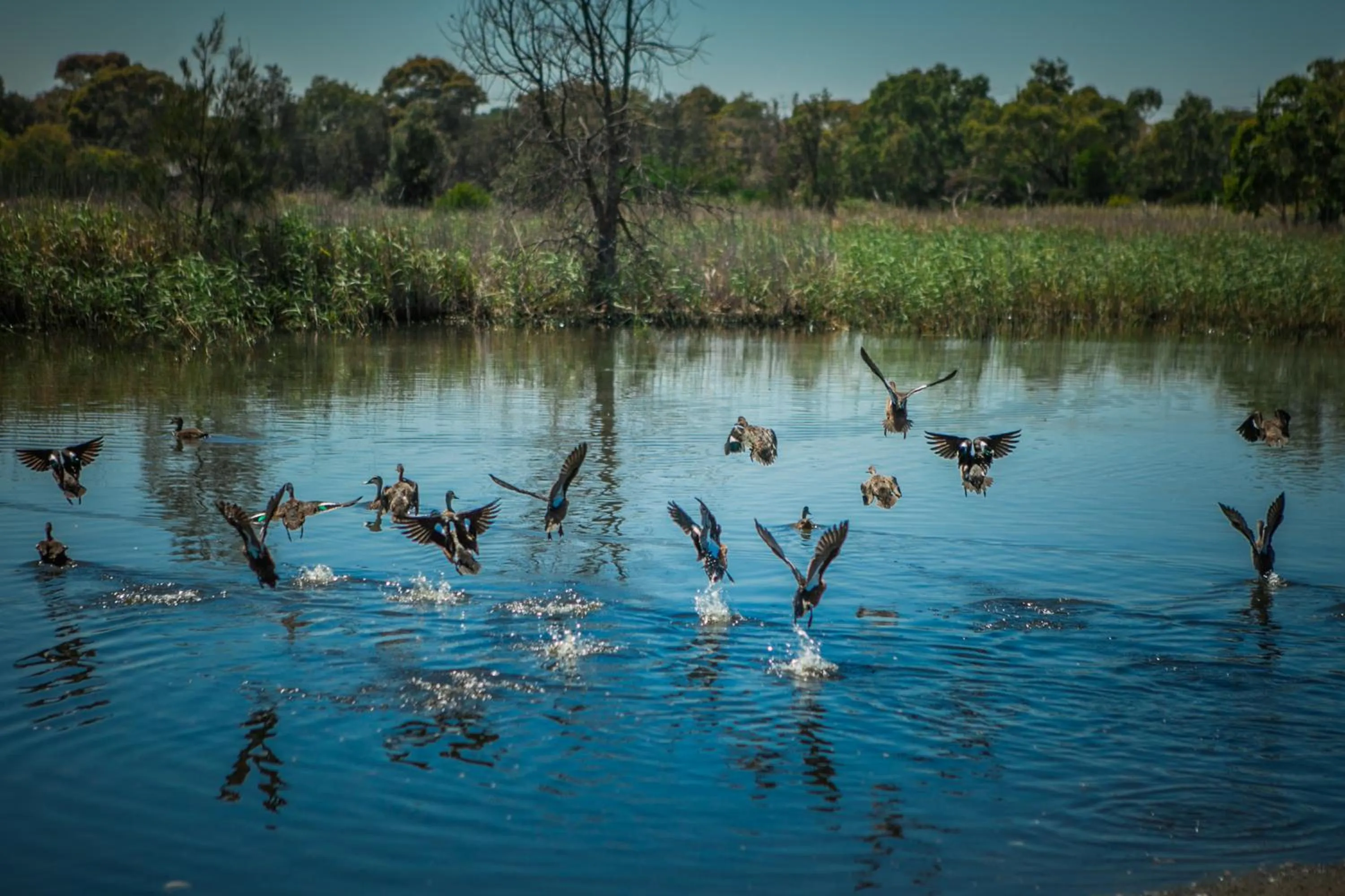 Sailaway Beach House