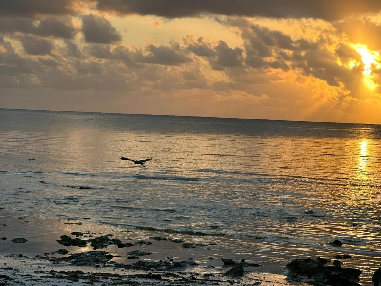 Villa Serenity, Tanzania Unforgettable