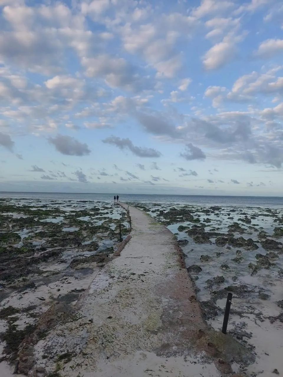 Beach in Villa Serenity, Tanzania Unforgettable
