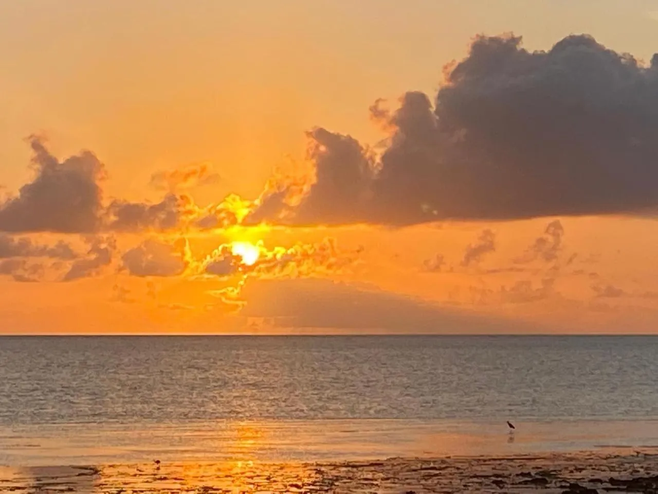 Villa Serenity, Tanzania Unforgettable