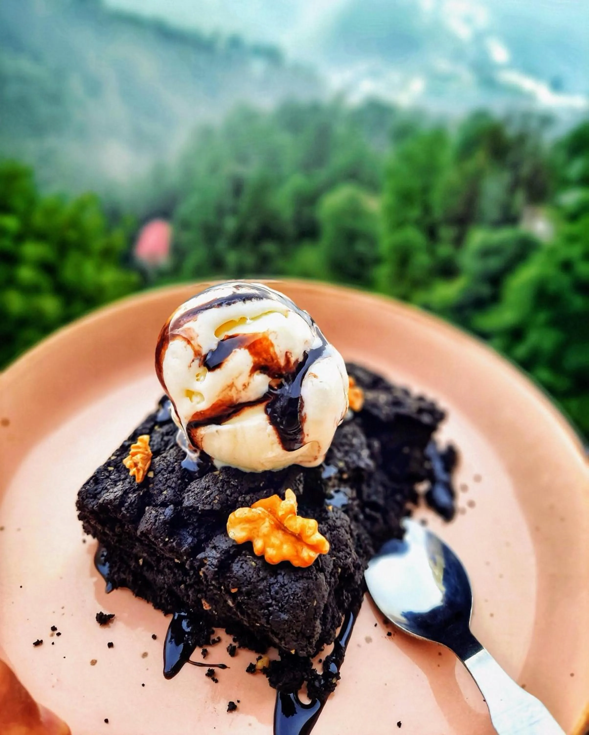 Day in Hotel Chail Residency