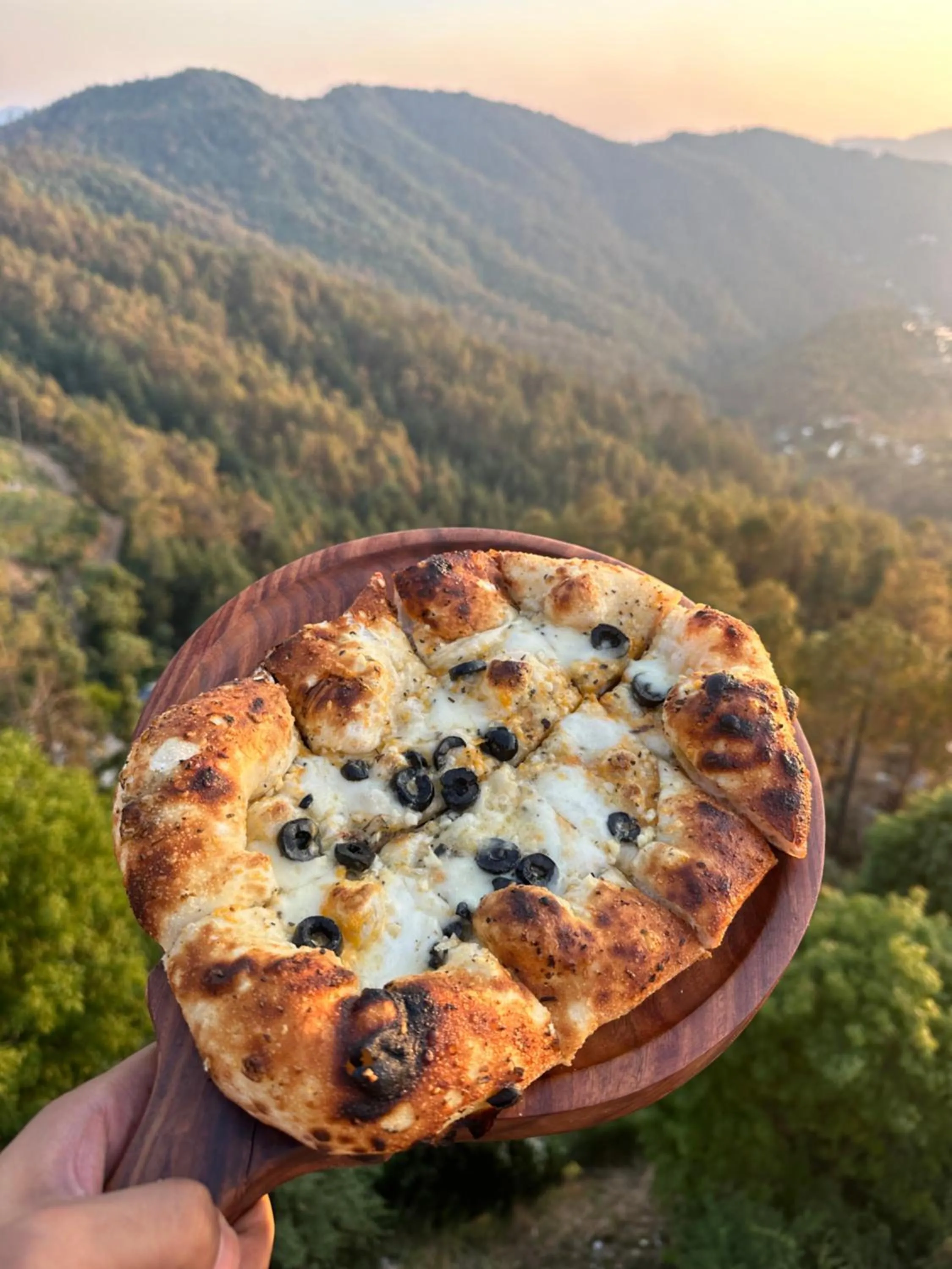 Day in Hotel Chail Residency