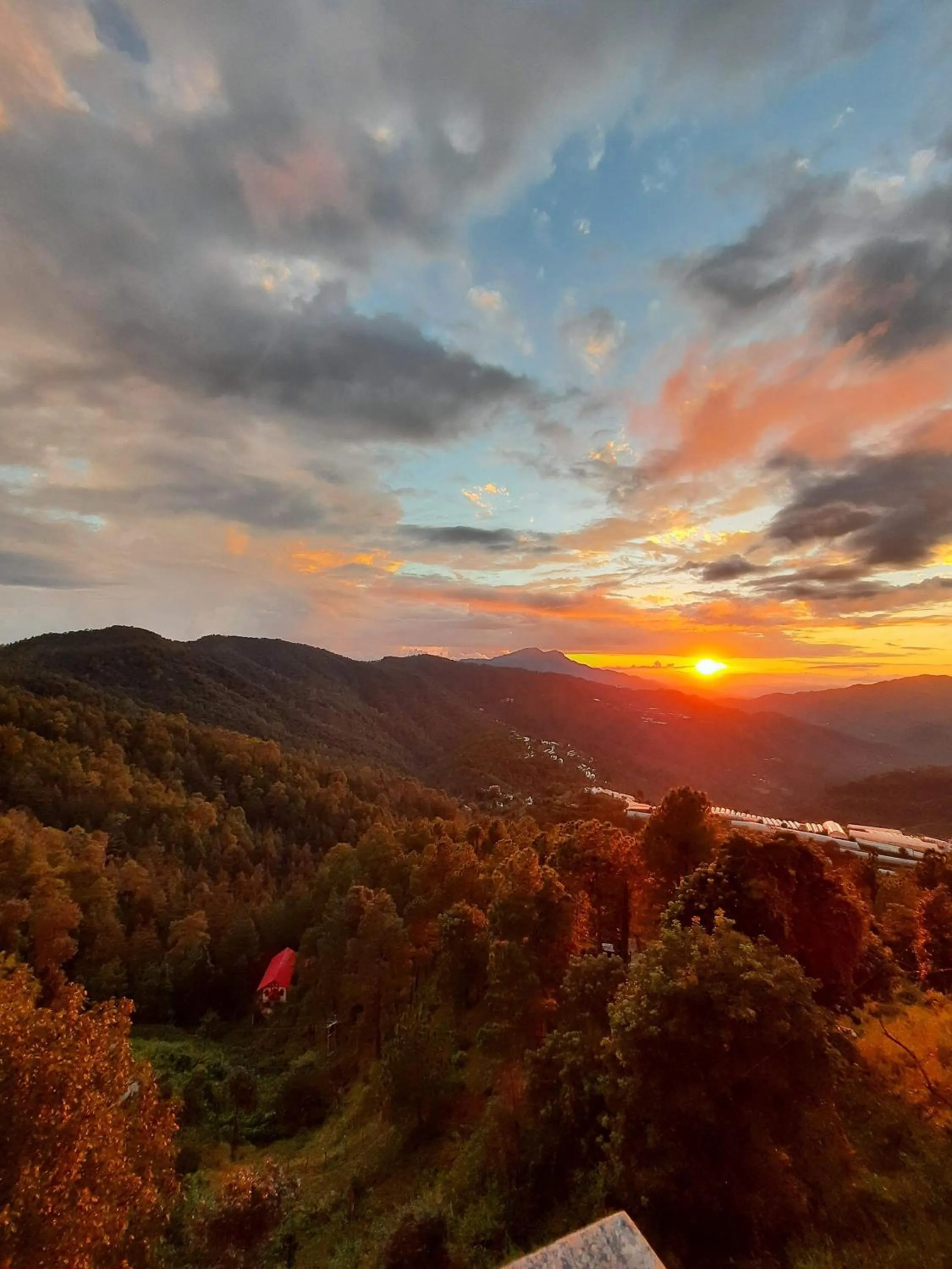 Day in Hotel Chail Residency