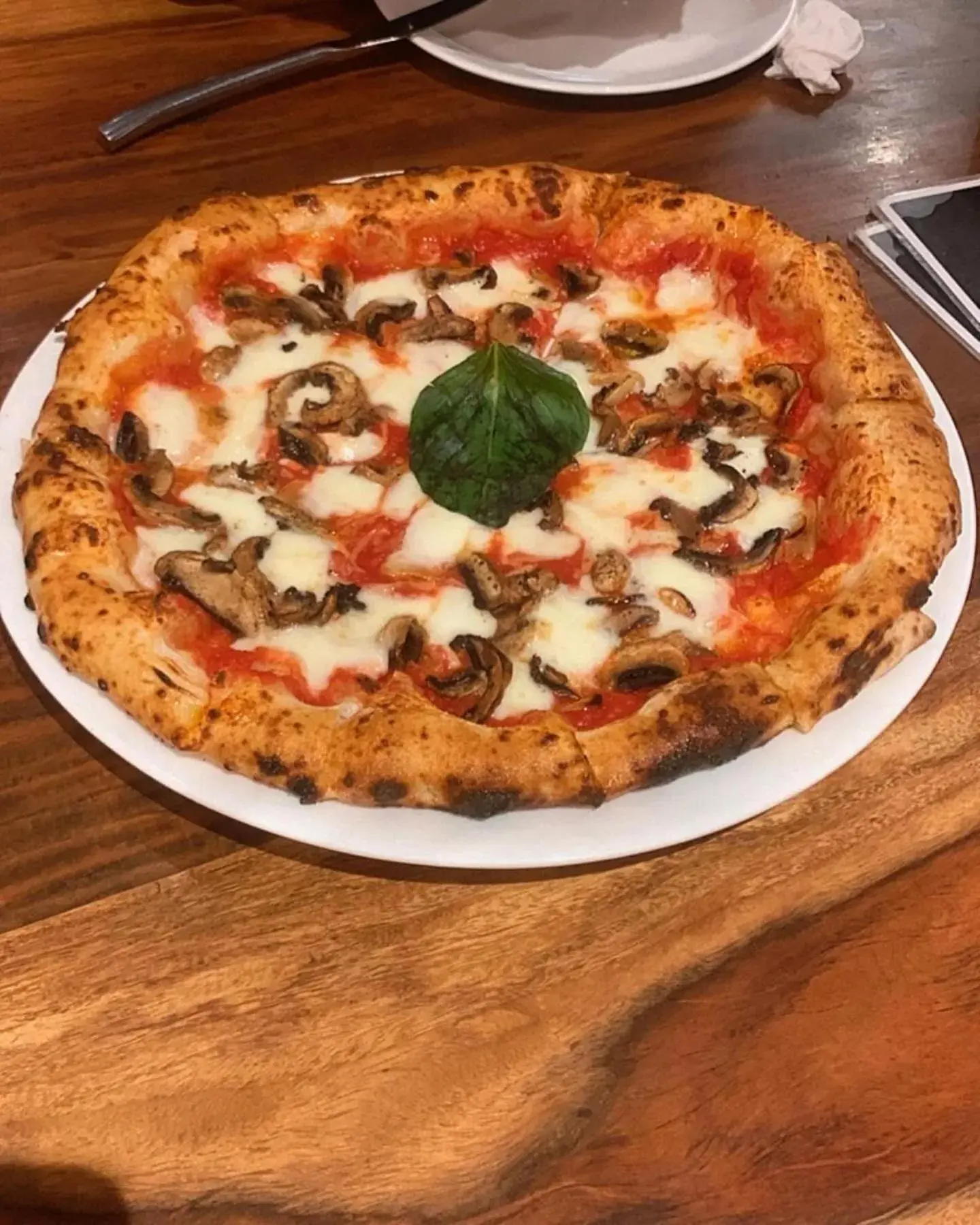 Restaurant/places to eat in Hotel Chail Residency Restaurant/places to eat in Hotel Chail Residency