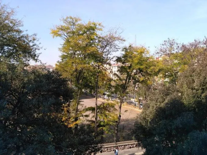 Quiet street view in Hotel Abro Sezenler