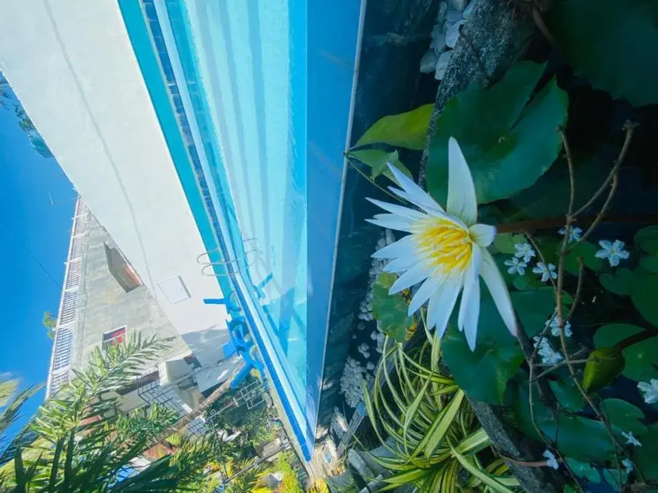 Standard Double Room with Fan - single occupancy in Liyanage Resort Standard Double Room with Fan - single occupancy in Liyanage Resort