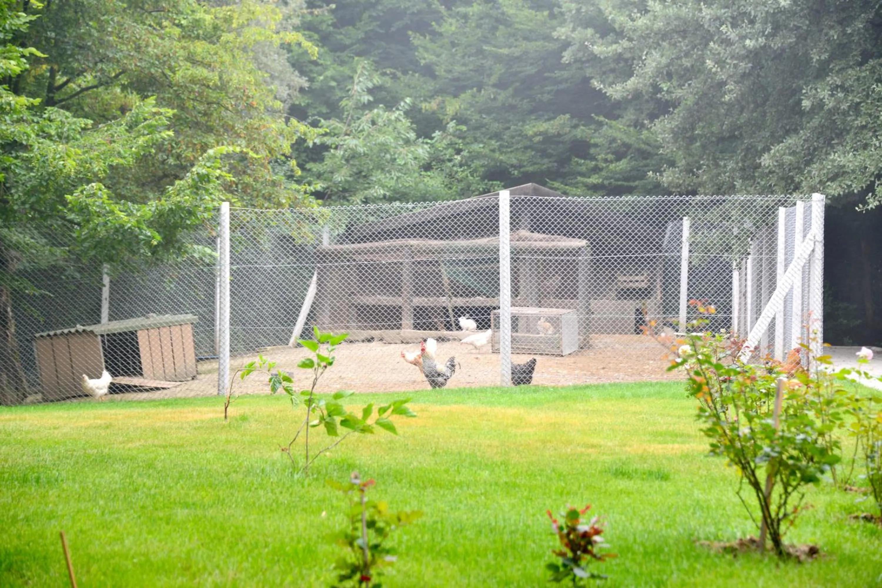 Garden in VONRESORT Abant