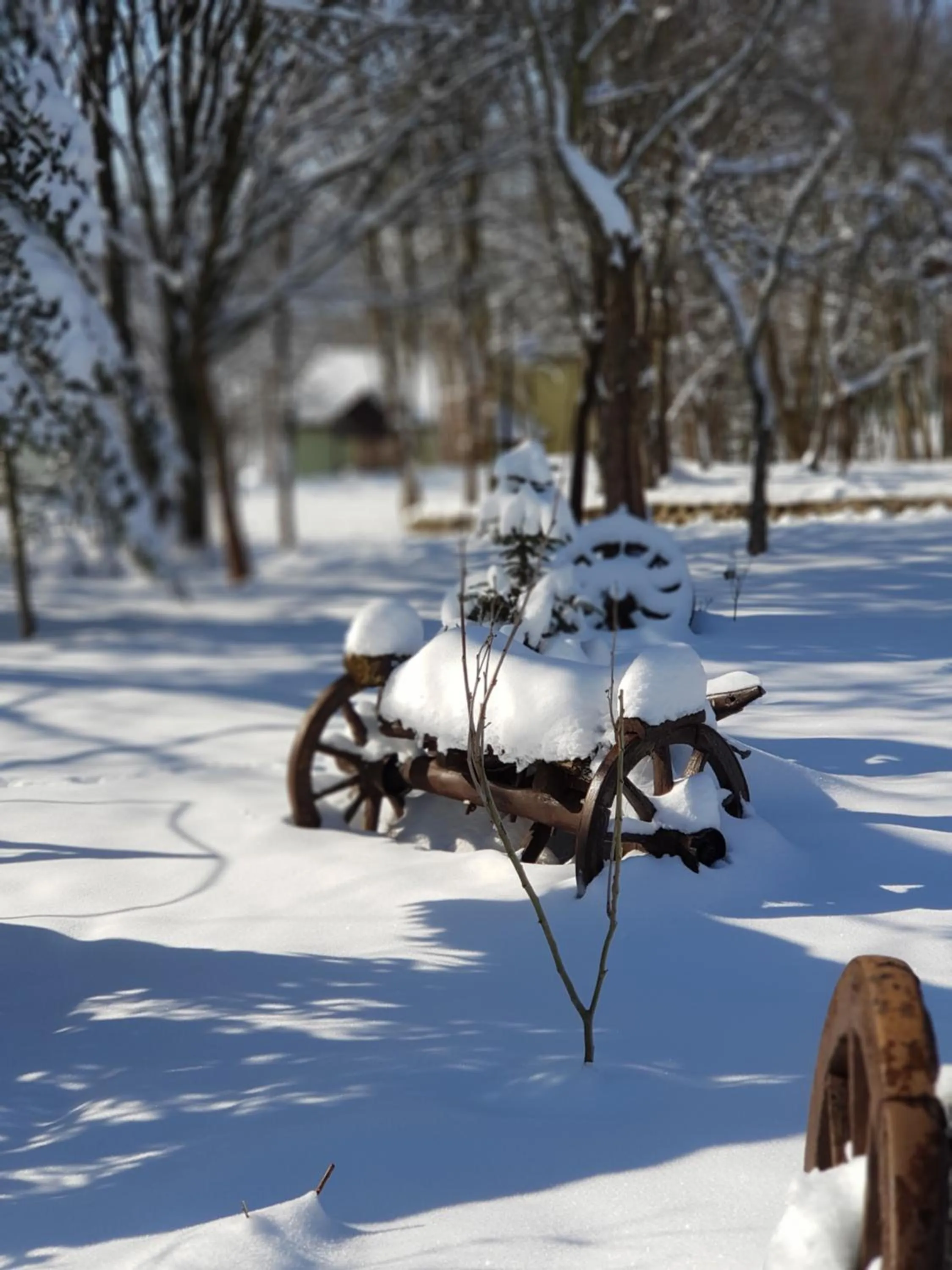 Day in VONRESORT Abant