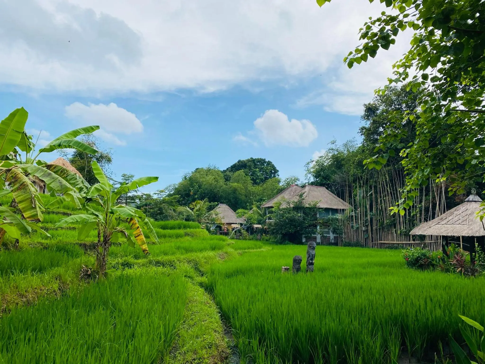 Day in KTS Balinese Villas