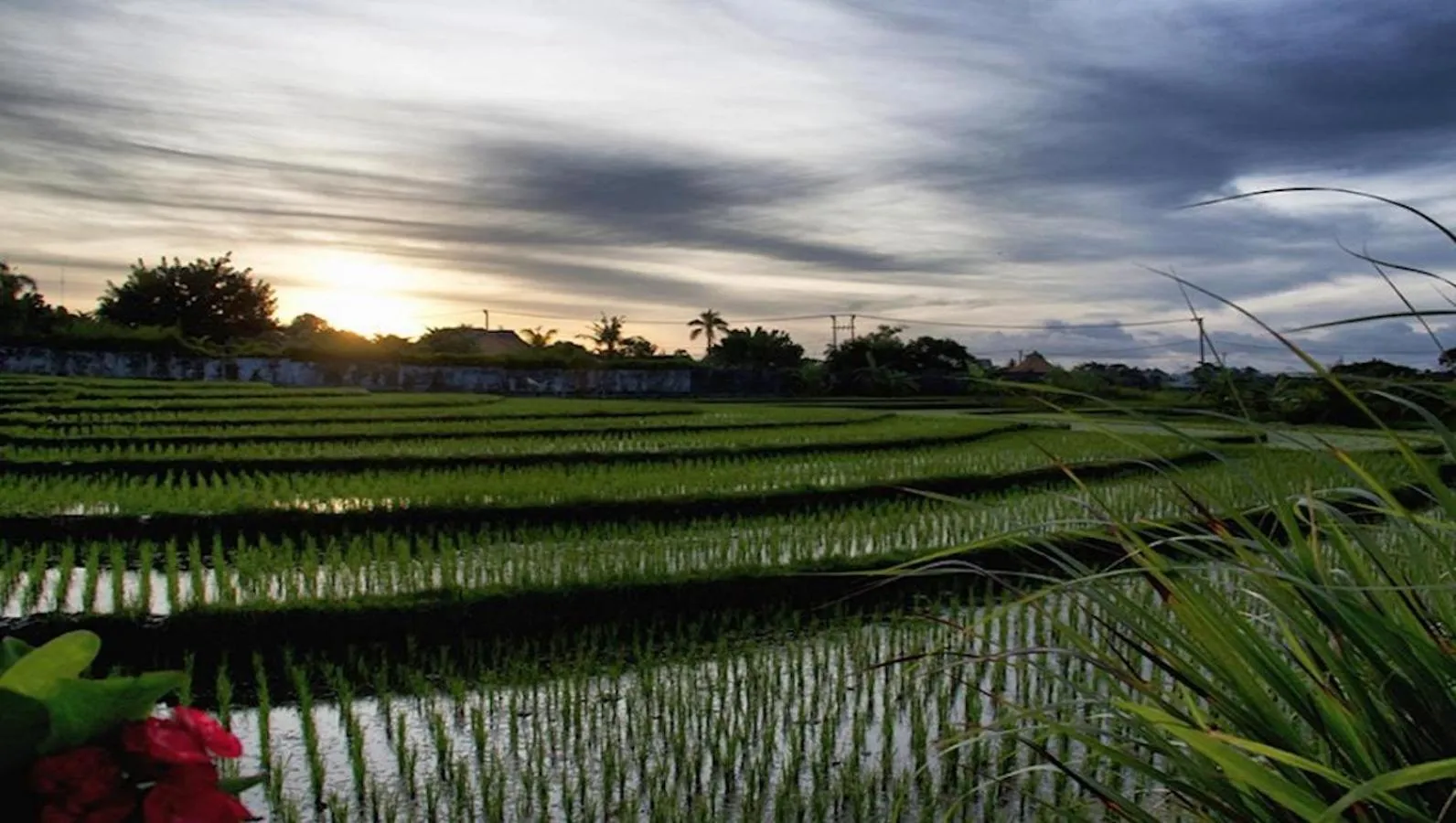 Natural landscape in KTS Balinese Villas