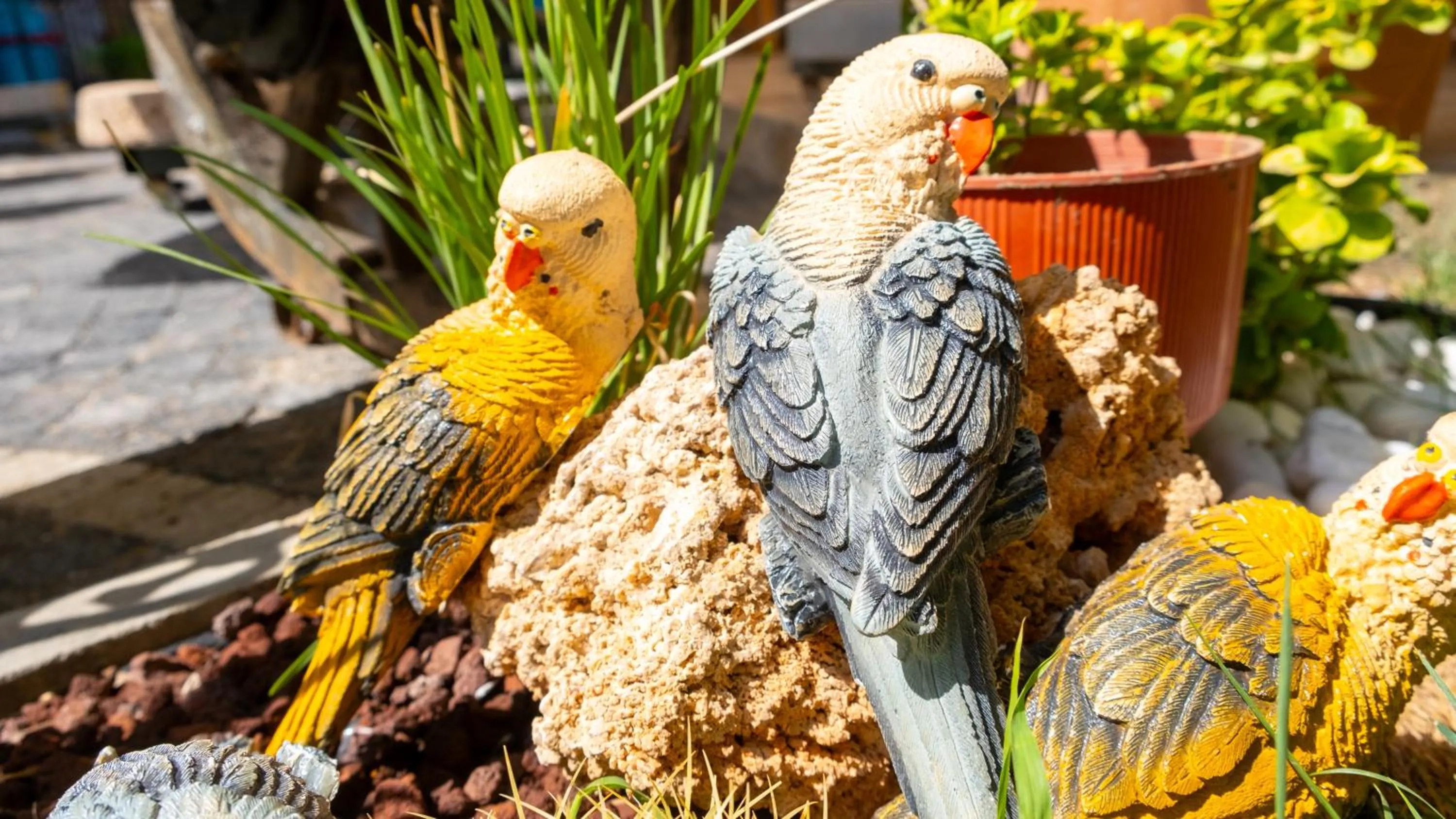 Garden in Tetka Konukevi