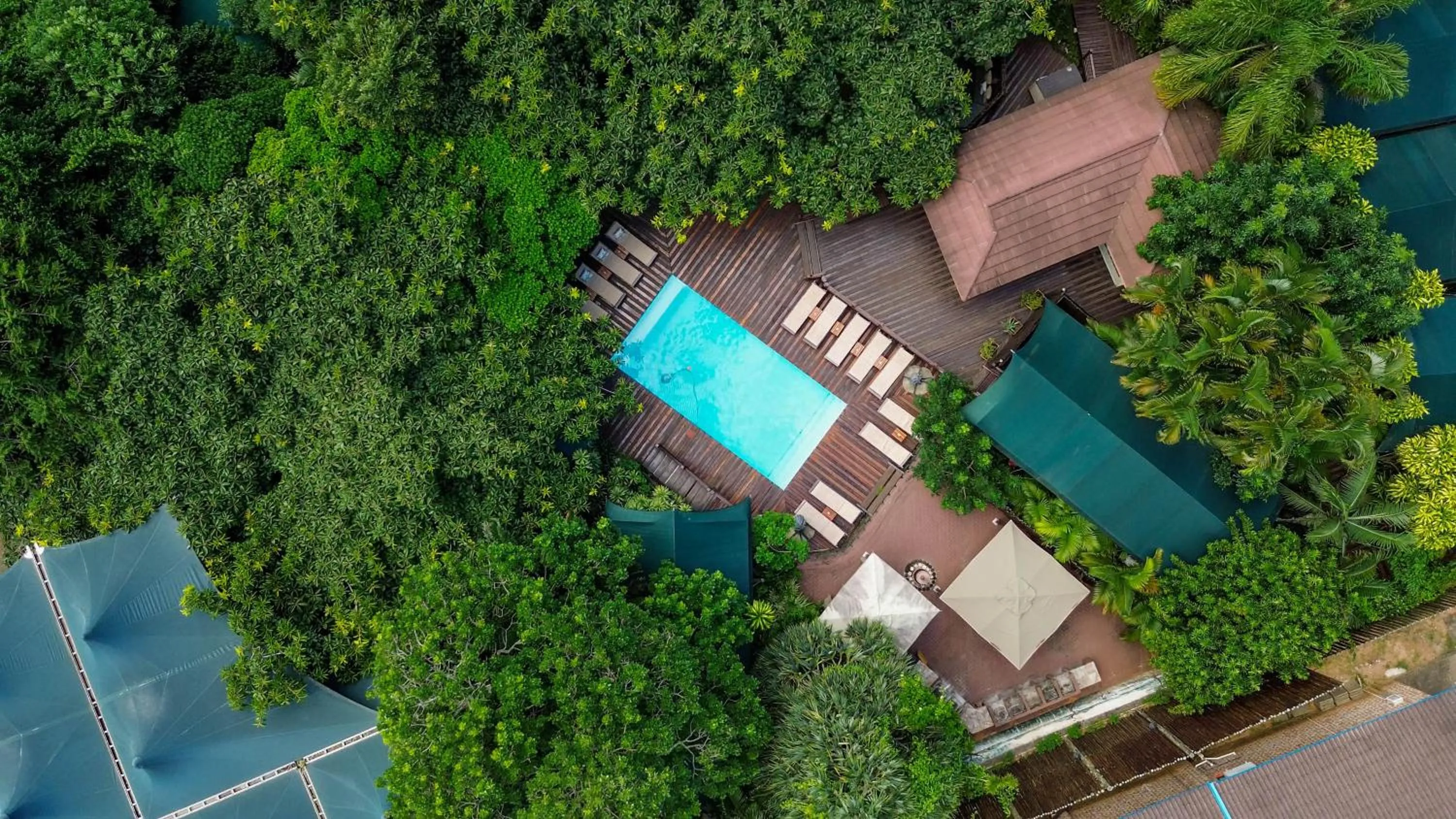 Swimming pool in Luxury Tented Village @ Urban Glamping