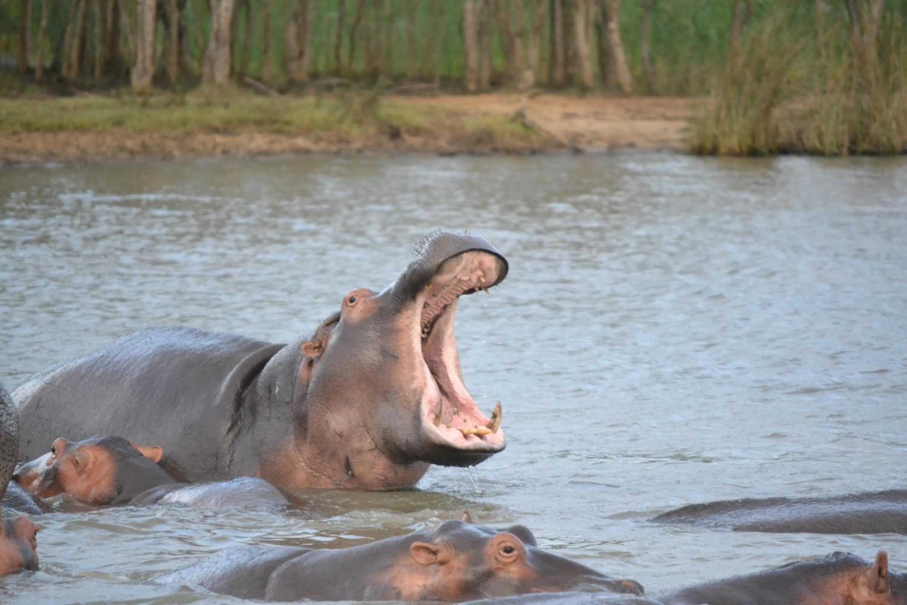 Activities in Luxury Tented Village @ Urban Glamping