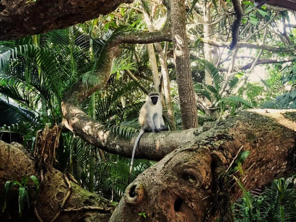 Luxury Tented Village @ Urban Glamping