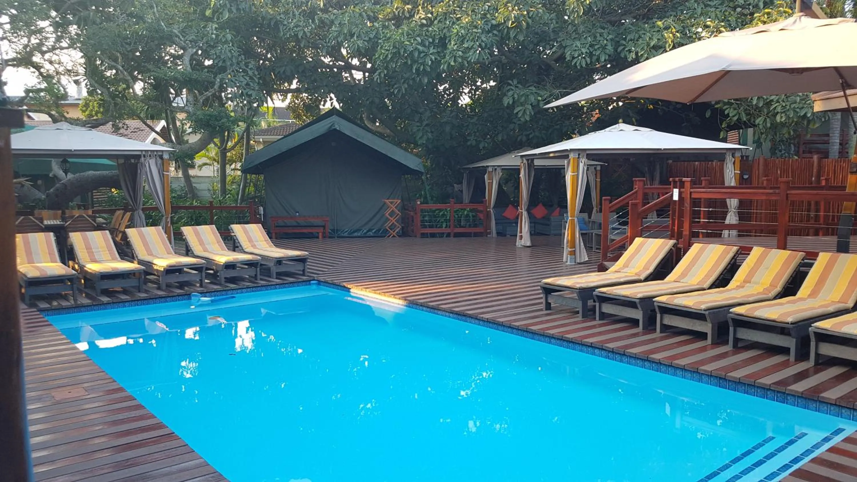 Swimming pool in Luxury Tented Village @ Urban Glamping