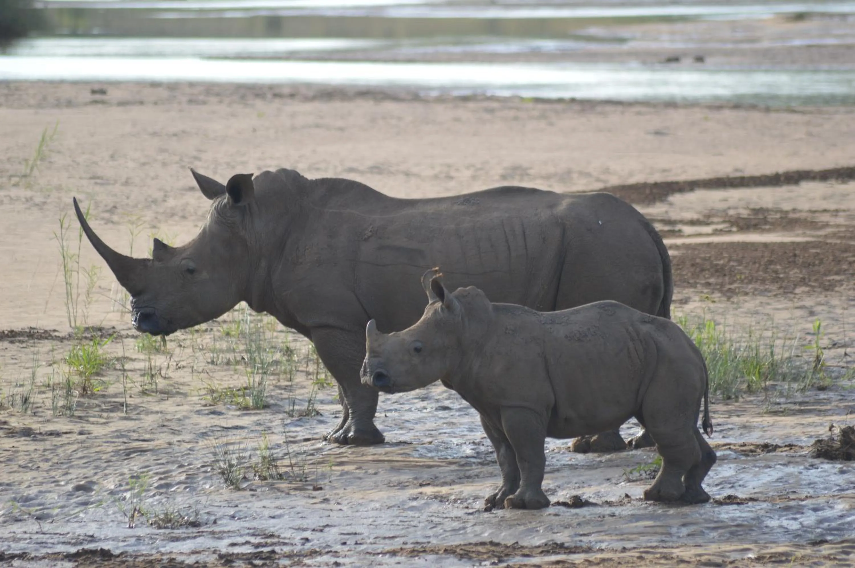 Activities in Luxury Tented Village @ Urban Glamping