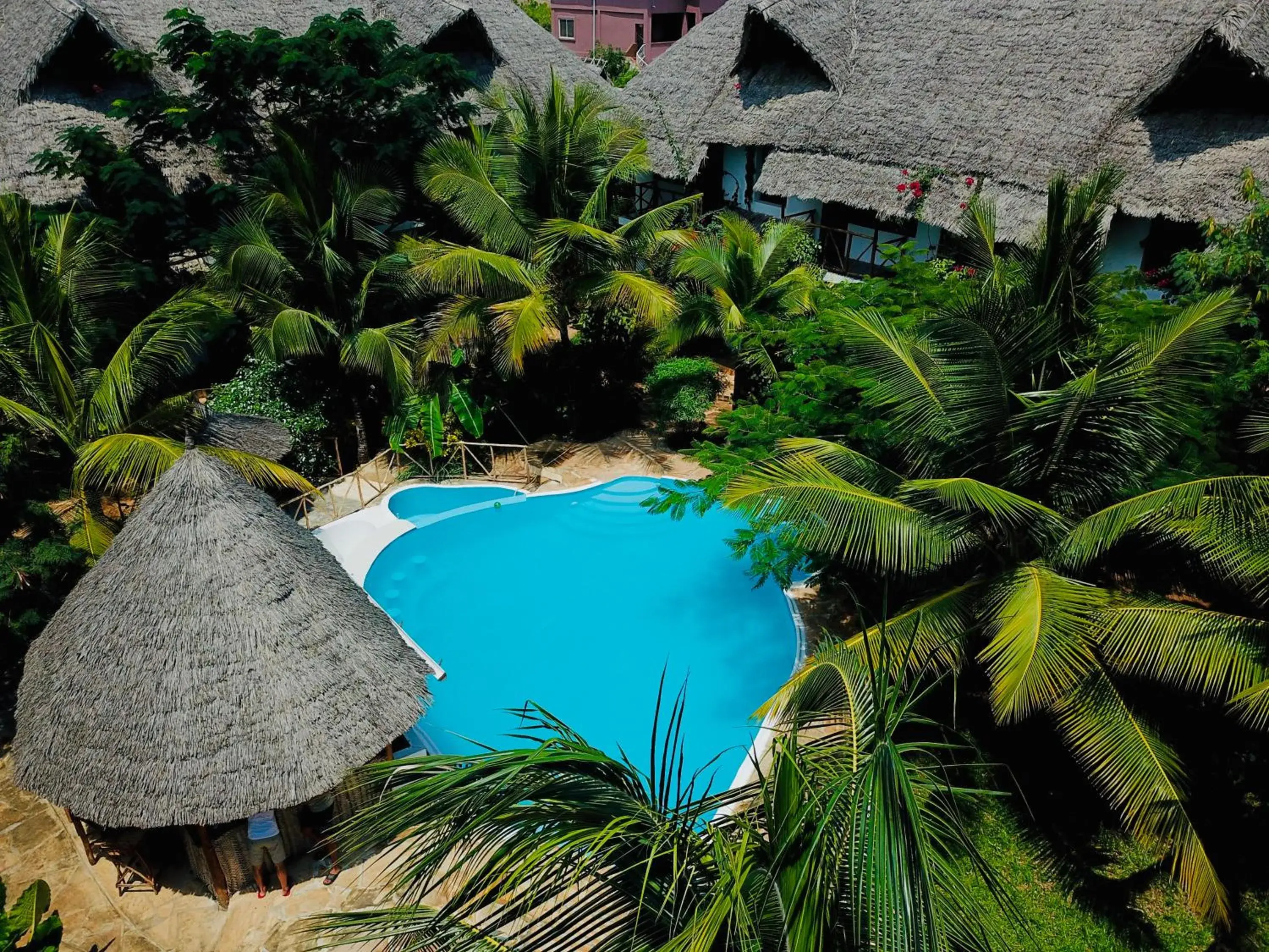 Tropical Nungwi Tropical Nungwi