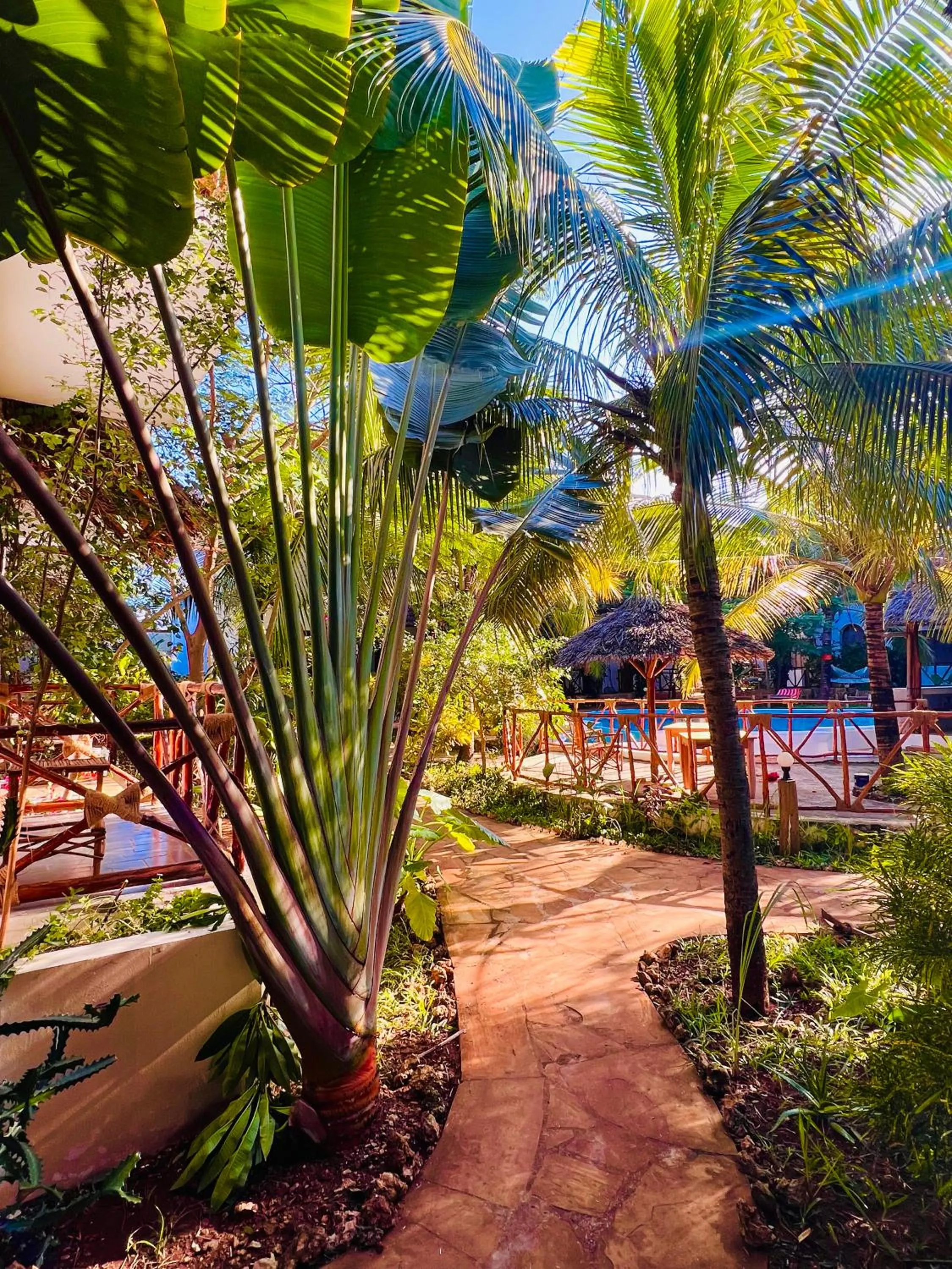 Garden view in Tropical Nungwi