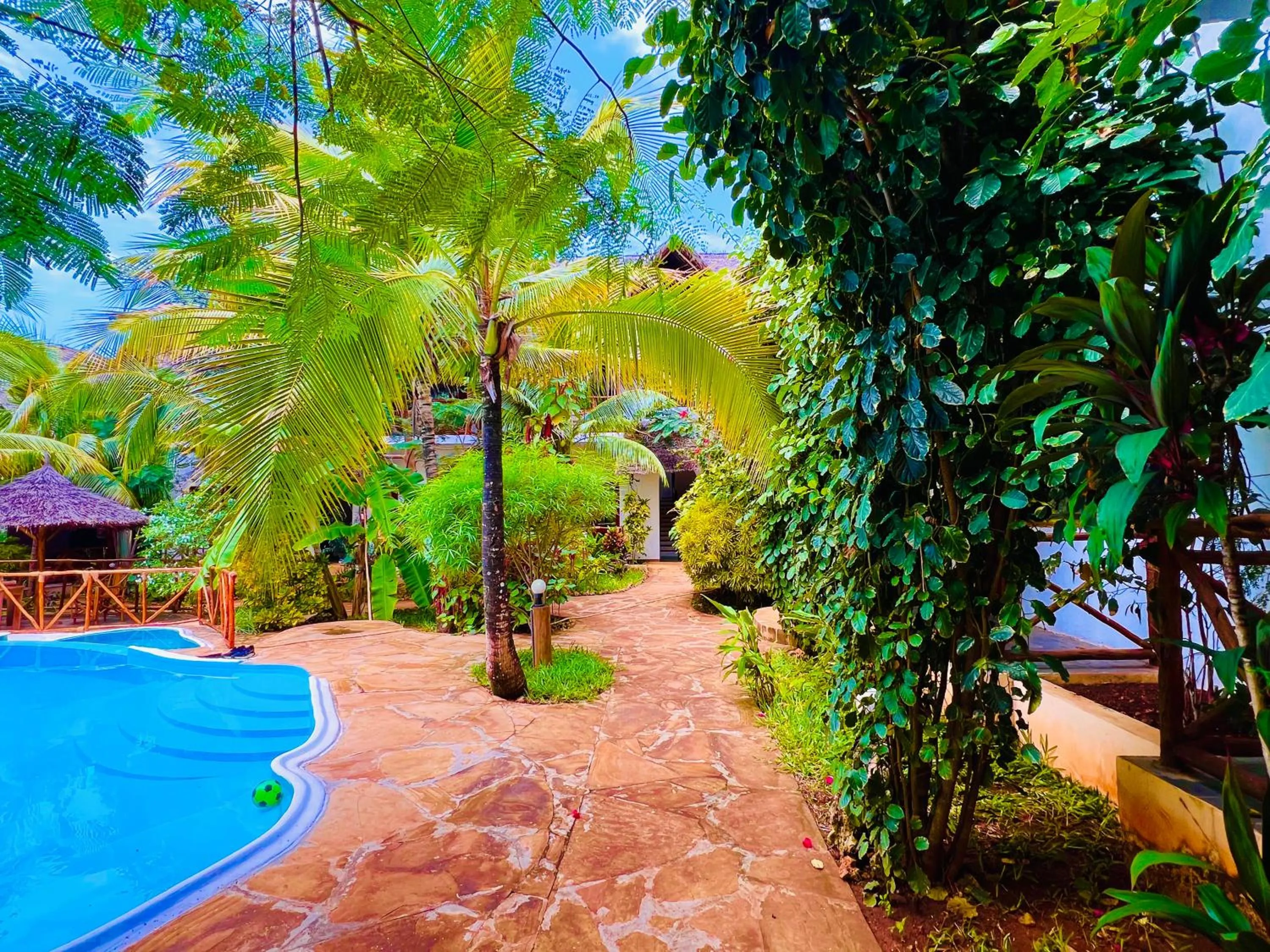 Natural landscape in Tropical Nungwi