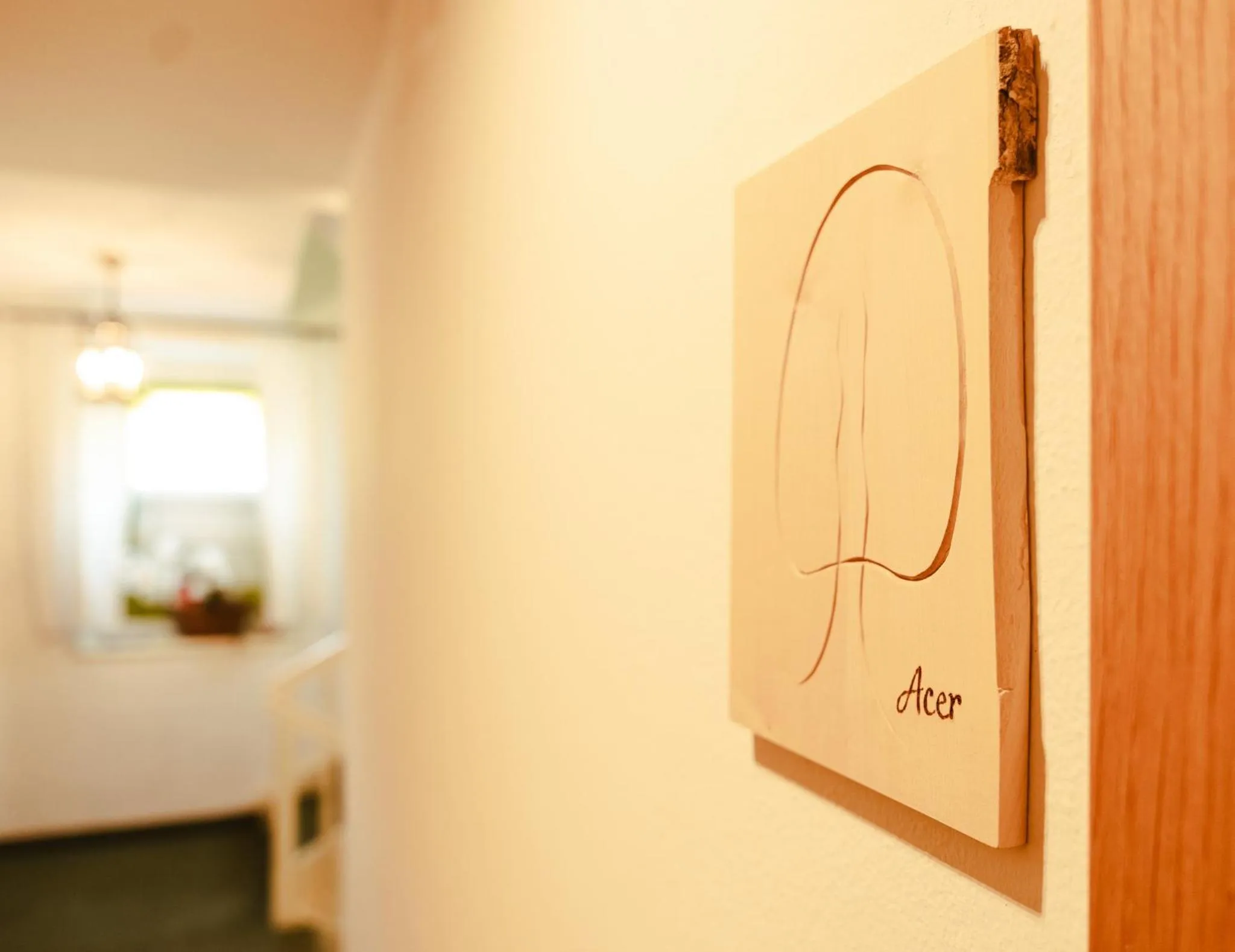 Hotel Villa Freiheim