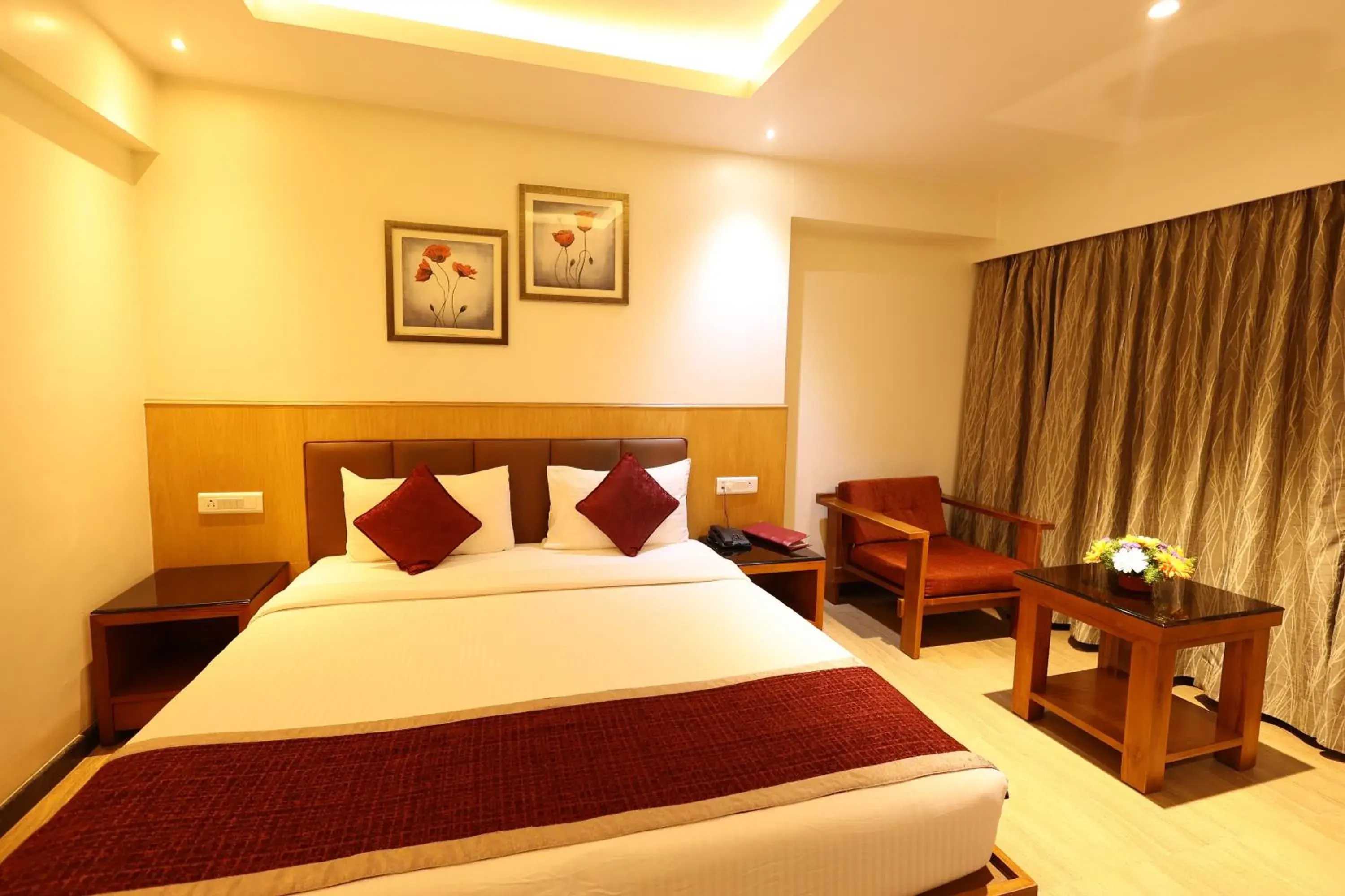 Executive Double Room in Akash Inn Executive Double Room in Akash Inn