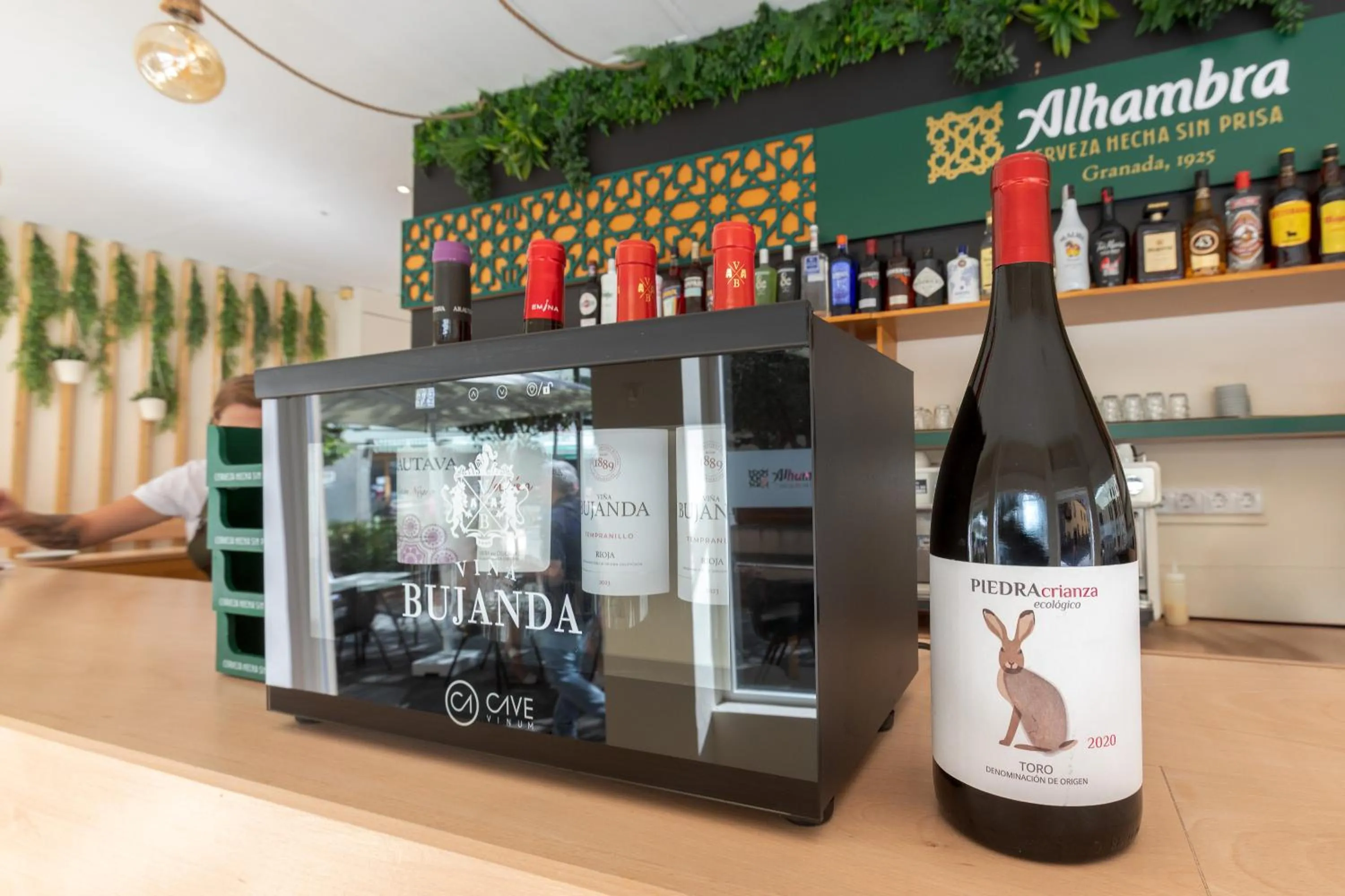 Lounge or bar in Hotel Boutique HC Maga