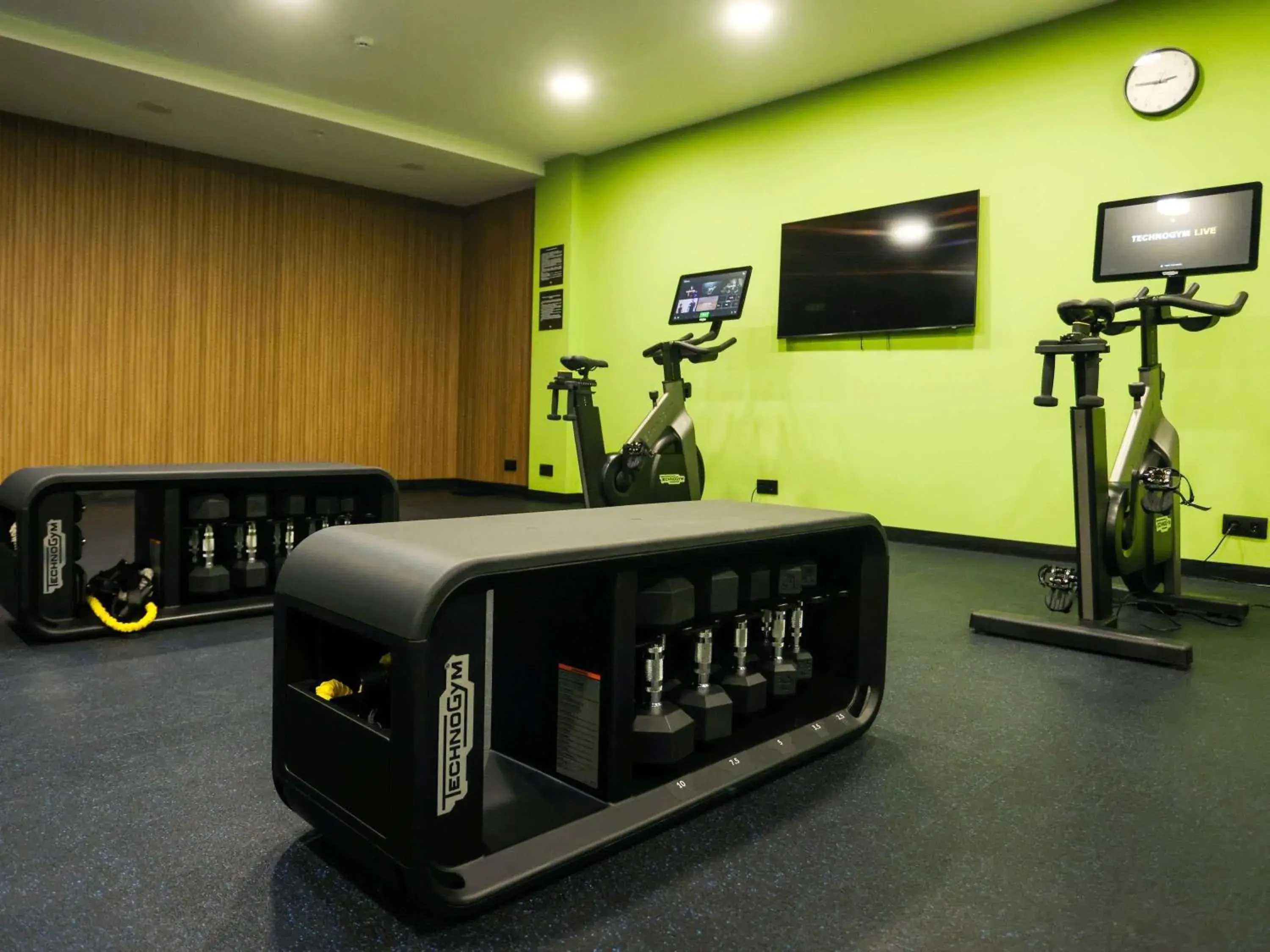 Fitness centre/facilities in ibis Tbilisi Airport Fitness centre/facilities in ibis Tbilisi Airport