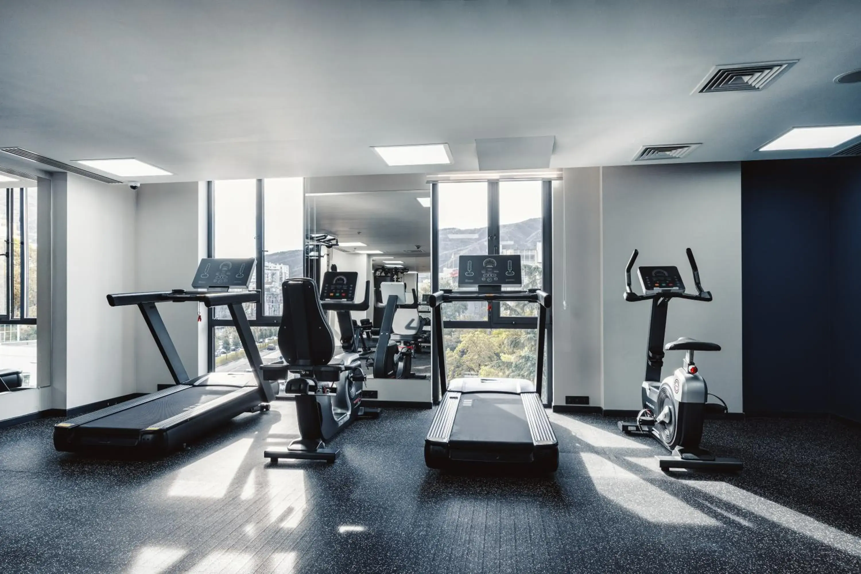 Fitness centre/facilities in ibis Tbilisi City Fitness centre/facilities in ibis Tbilisi City