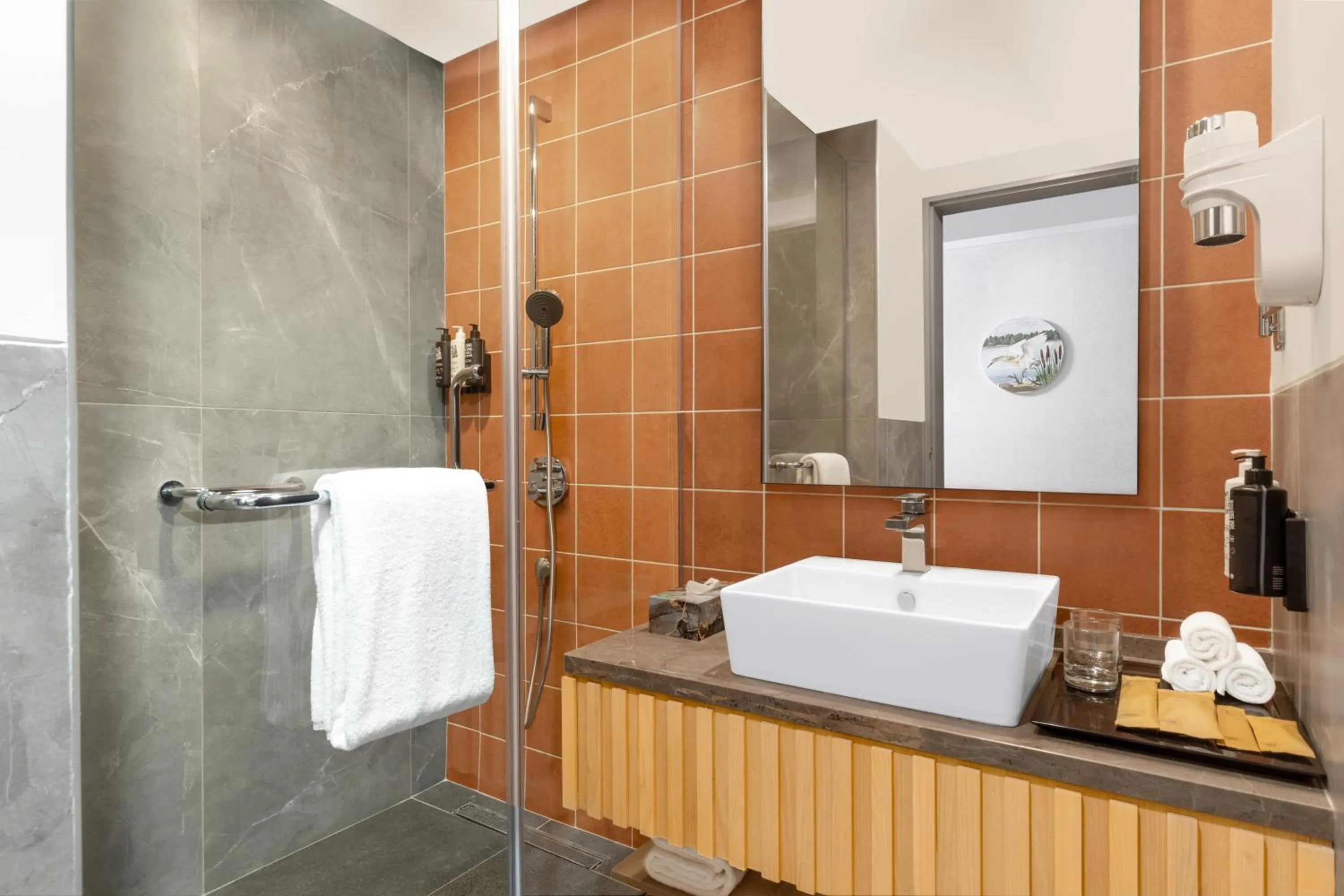 Shower in ibis Styles Mysuru