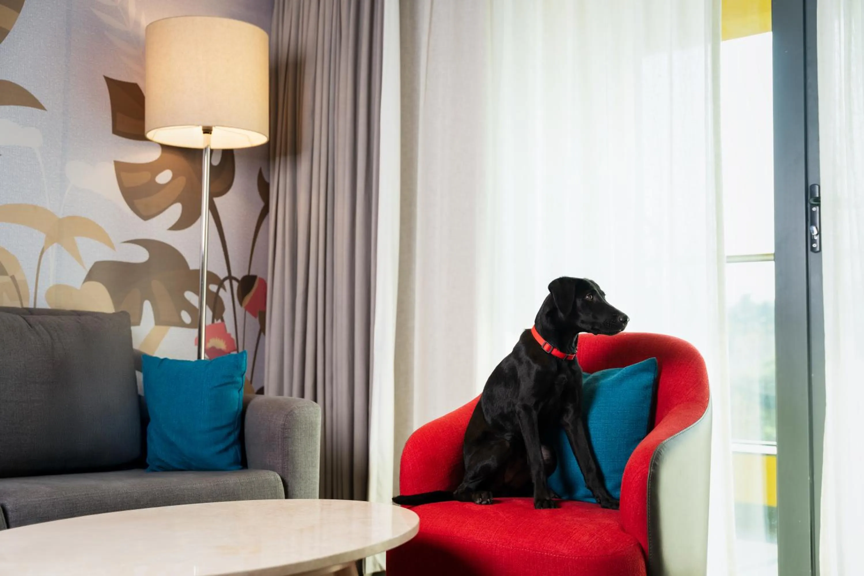 Pets in ibis Styles Mysuru