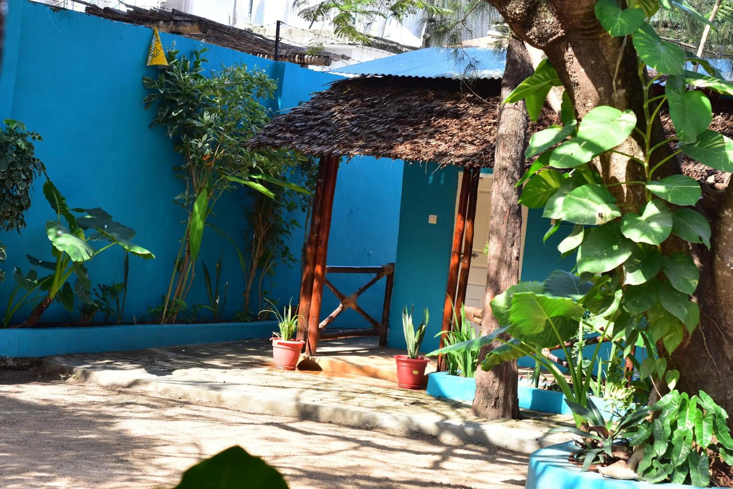 Spring in La Neisha Hotel Nungwi