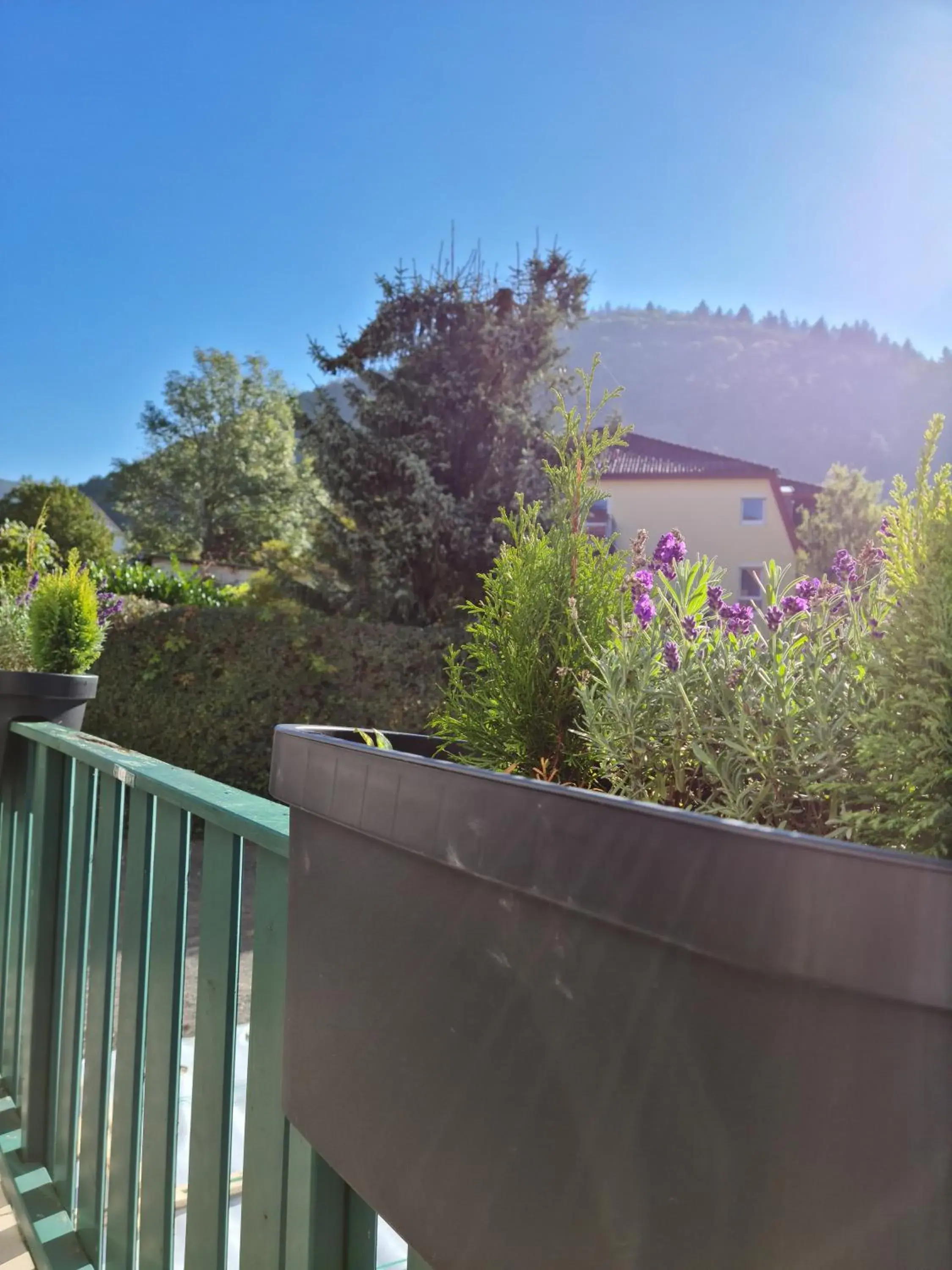 Mountain view in Pension Kreihe im Harz Mountain view in Pension Kreihe im Harz