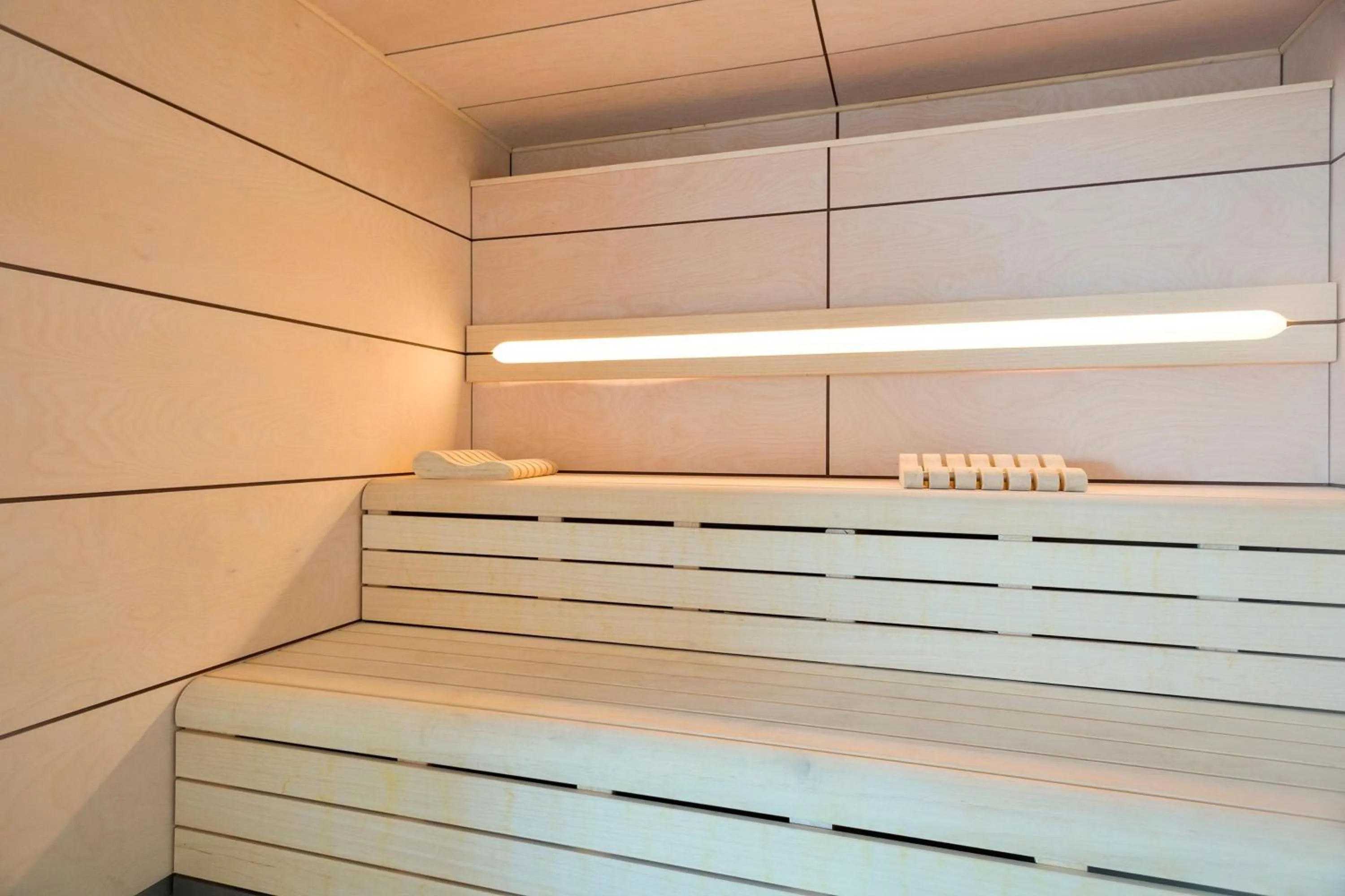 Sauna in Hotel Best Negresco