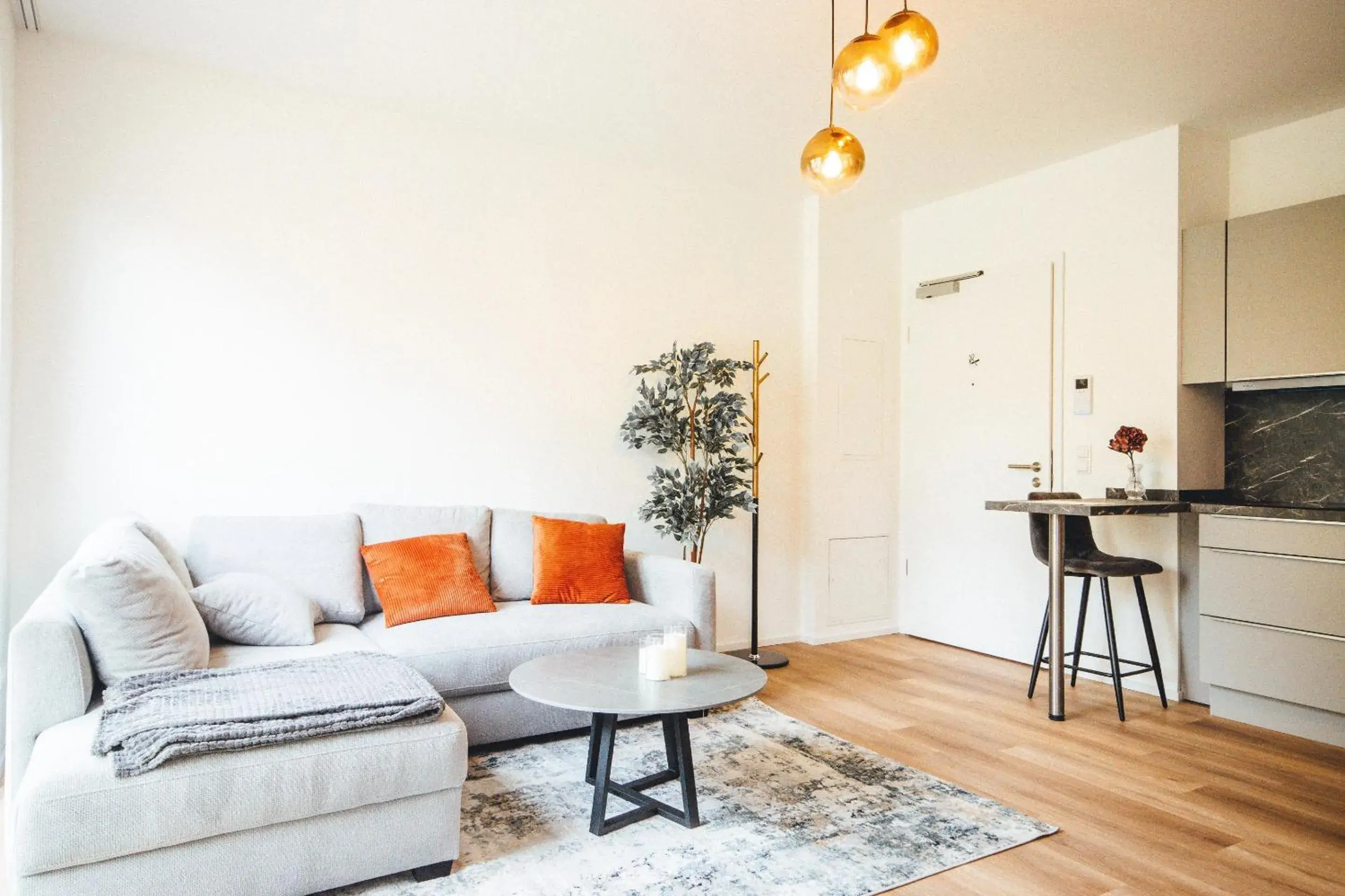 Living room in THE WOS Apartments Living room in THE WOS Apartments