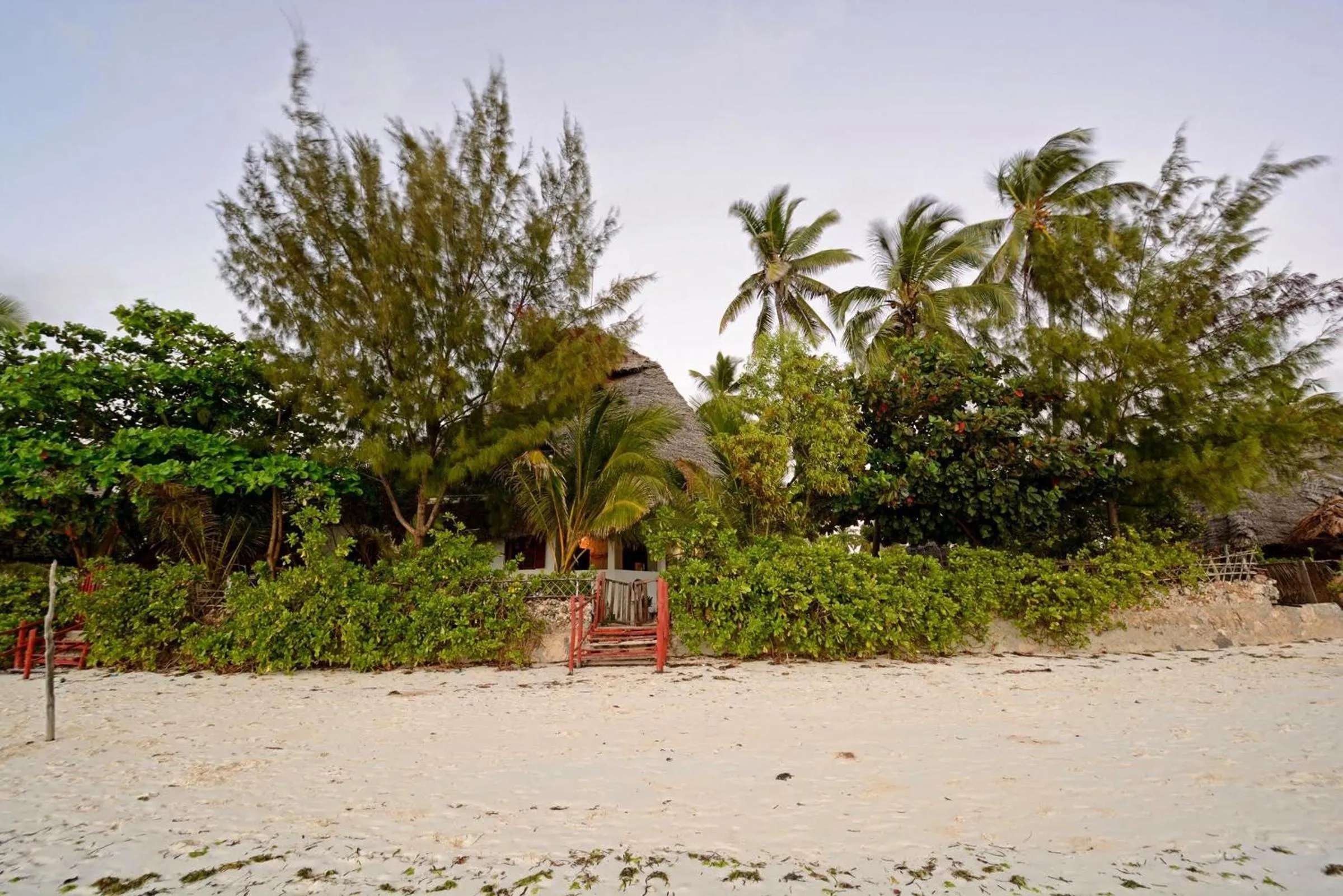 Beach in Kipepeo Lodge Zanzibar