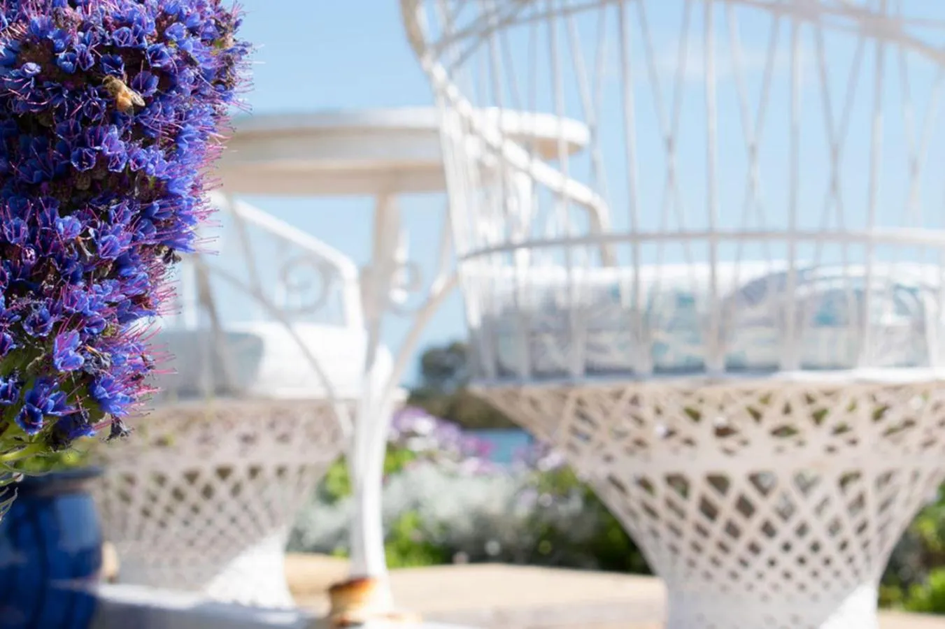 Garden in Boathouse Bunbury Bed & Breakfast