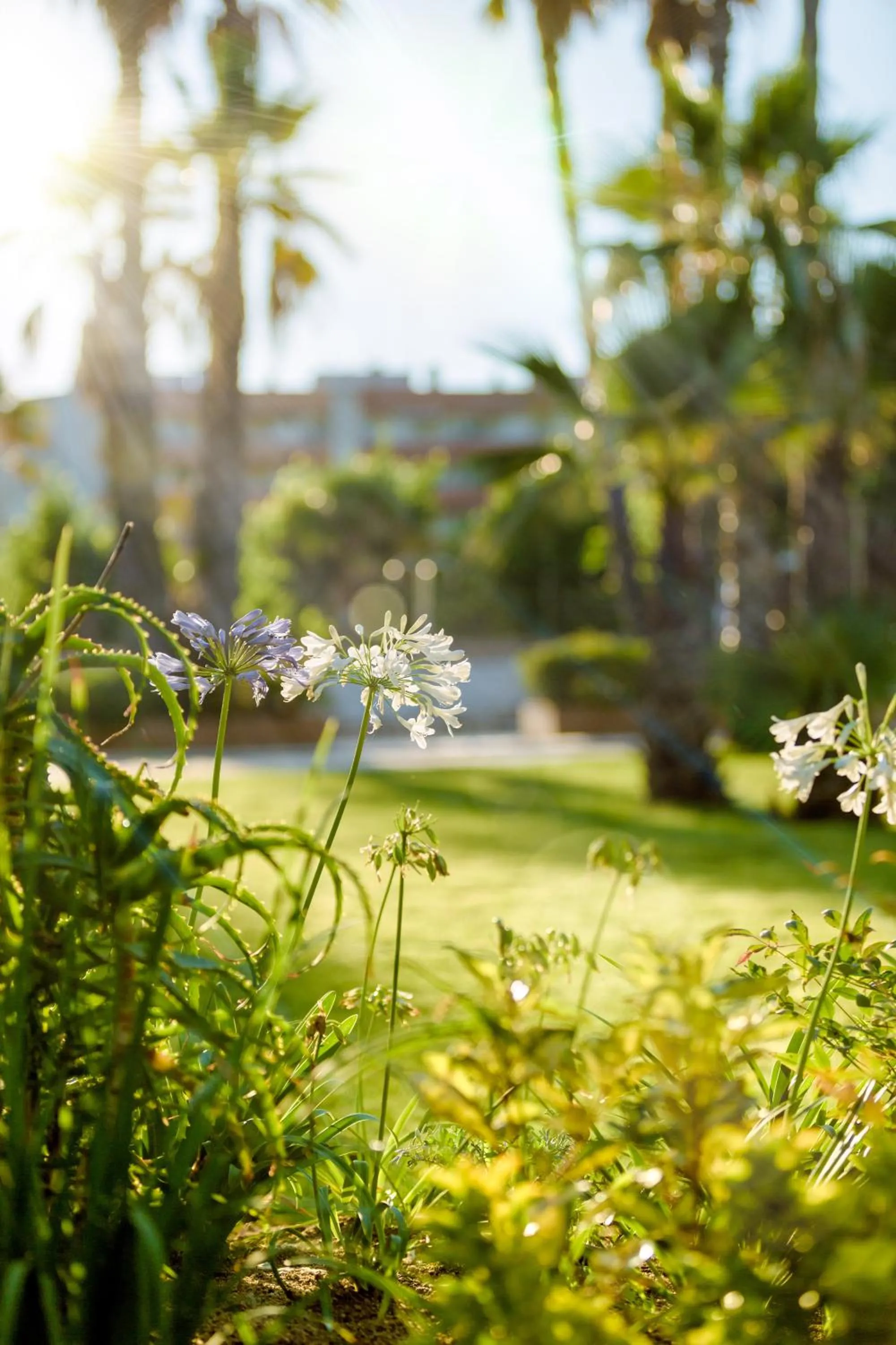 Garden in Càmping Bellsol
