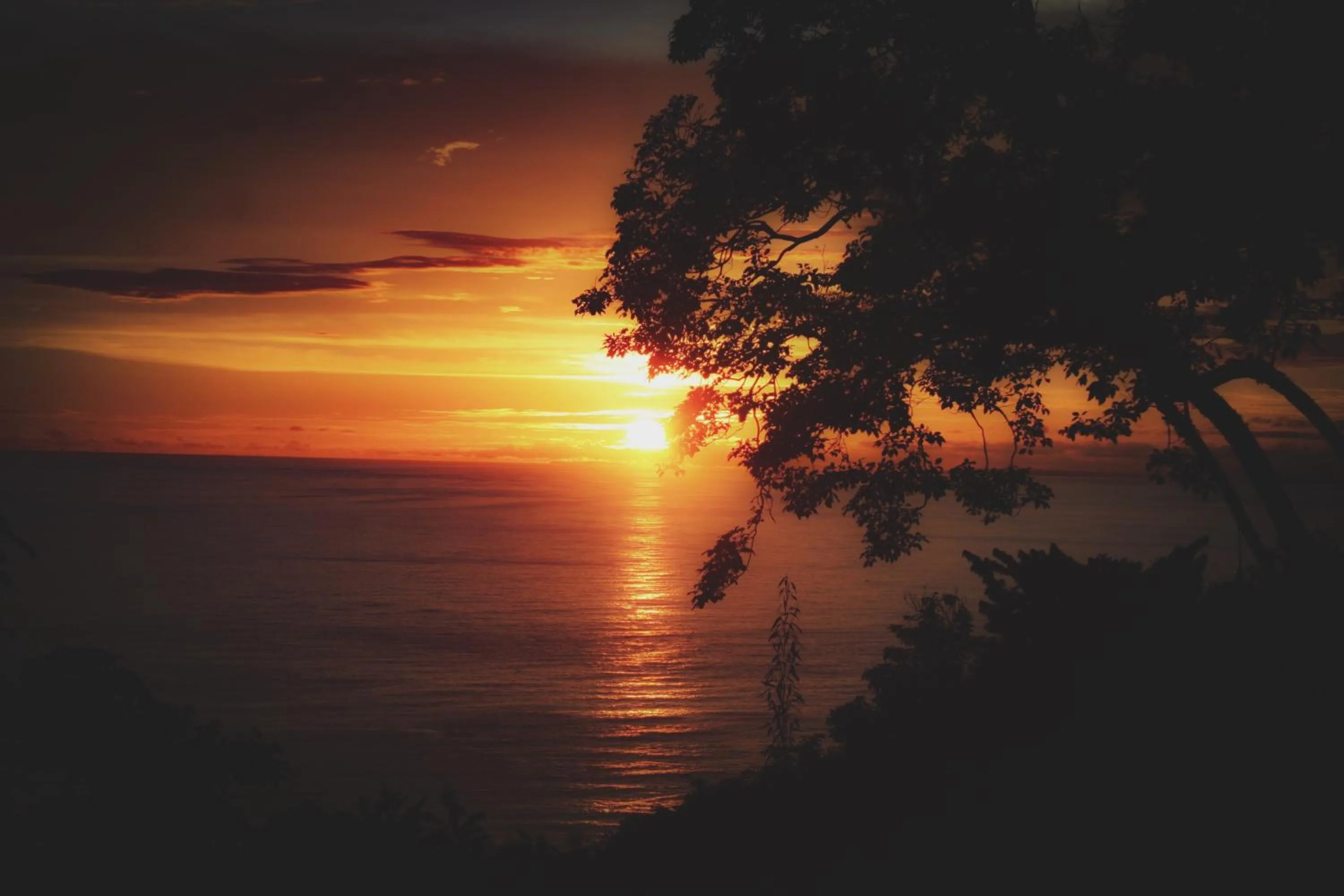 Natural landscape in Mango Moon Villa