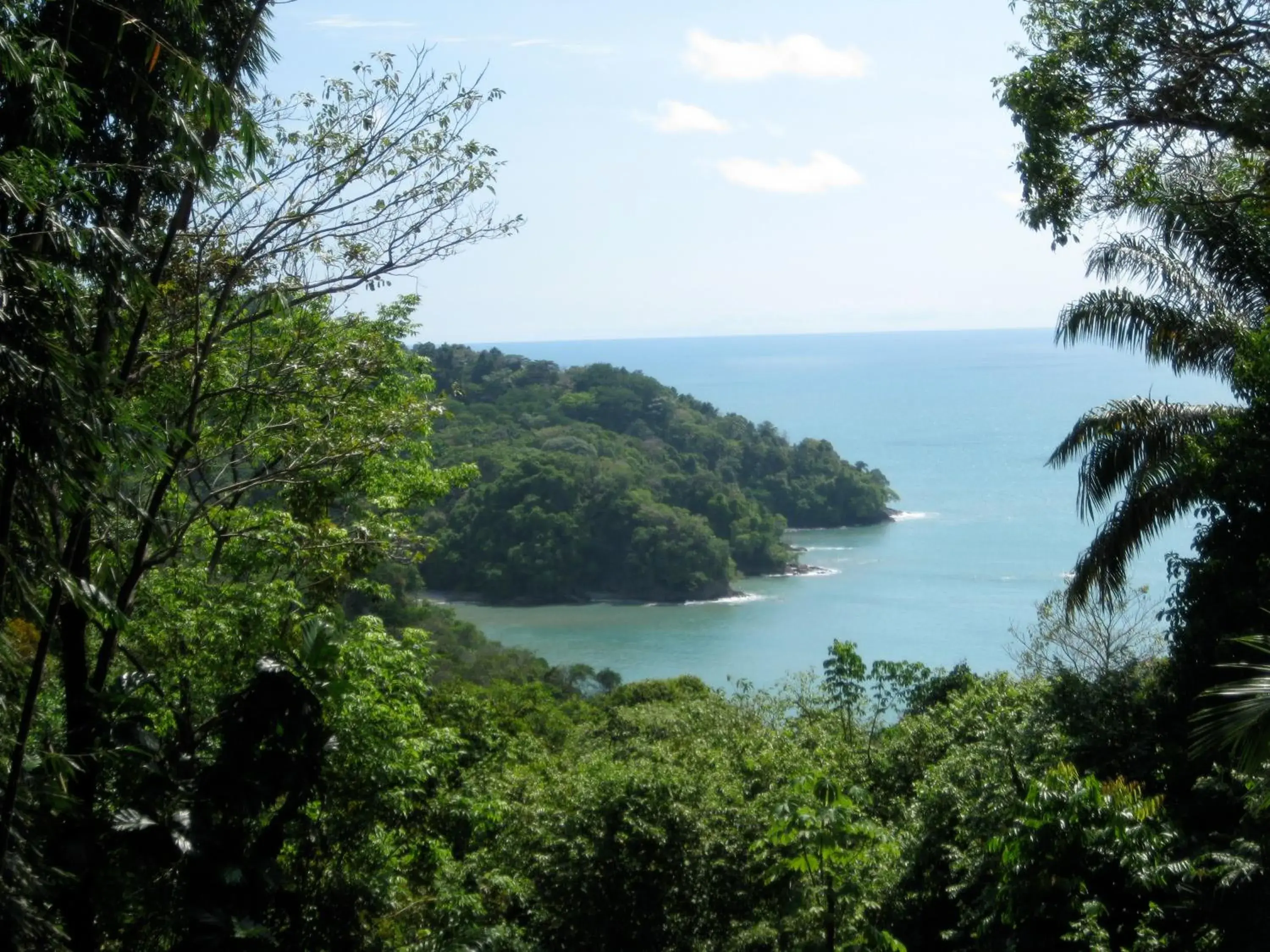 Property building in Mango Moon Villa Property building in Mango Moon Villa