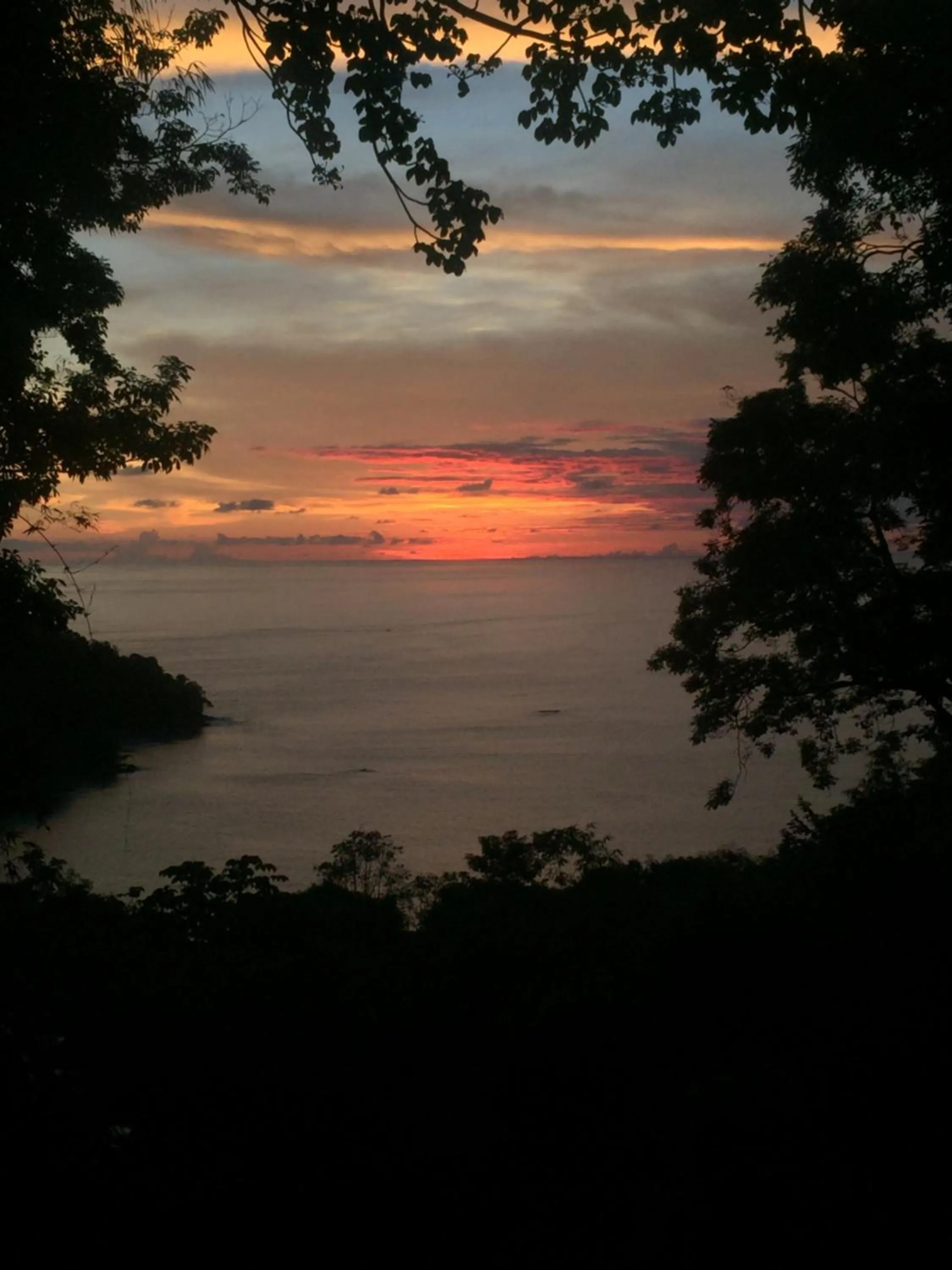 Natural landscape in Mango Moon Villa