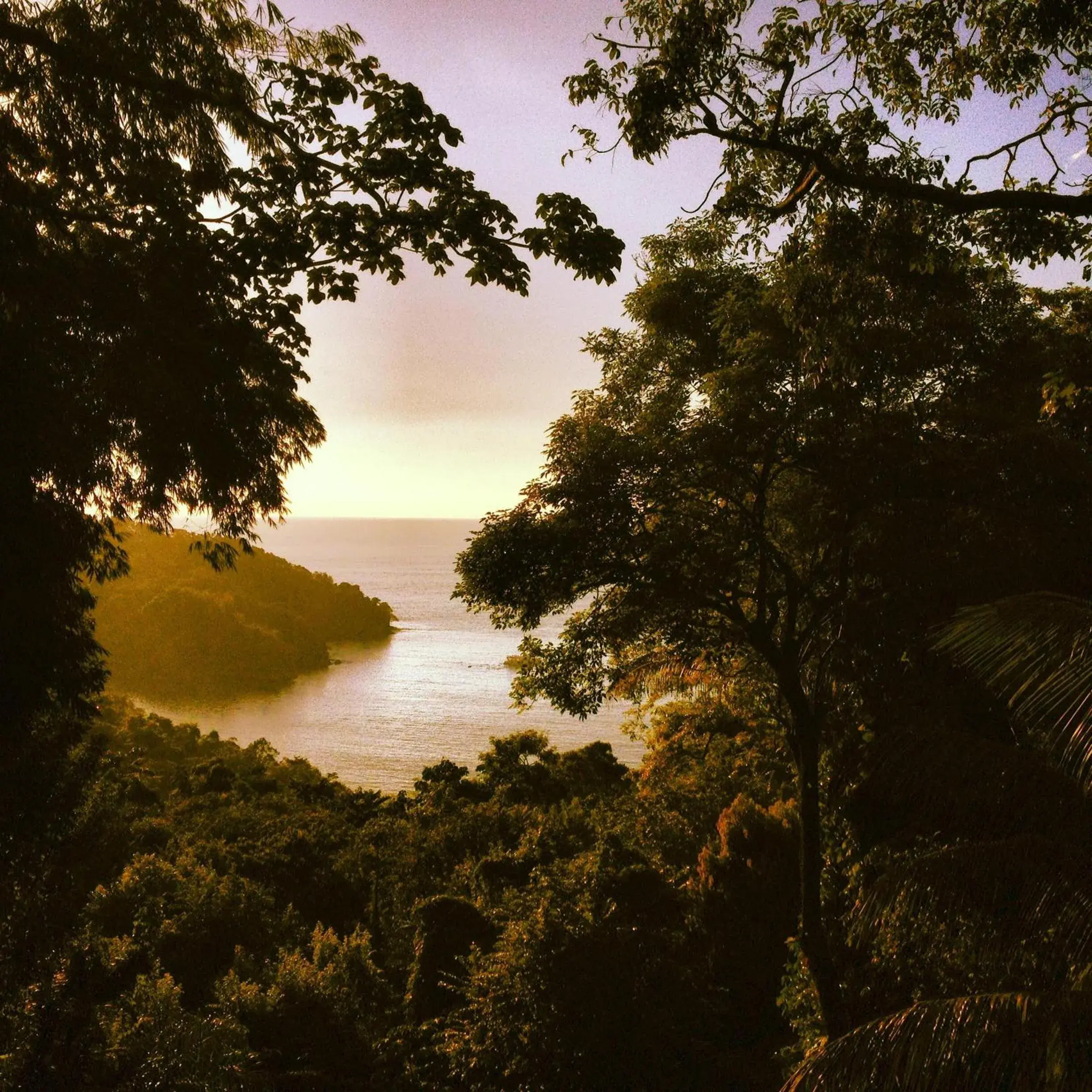 Property building in Mango Moon Villa Property building in Mango Moon Villa