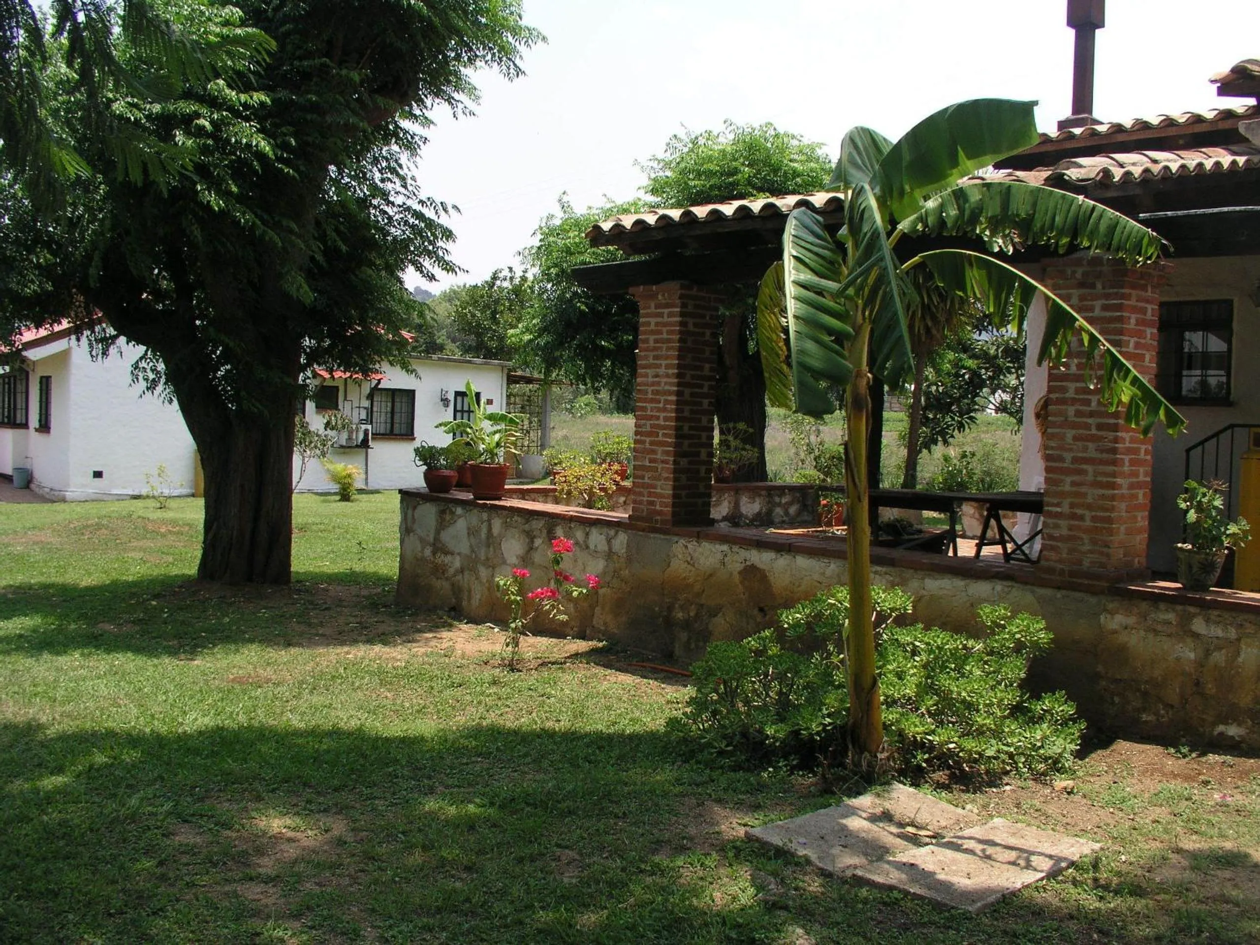 Garden in El Rincón de San Agustín Etla